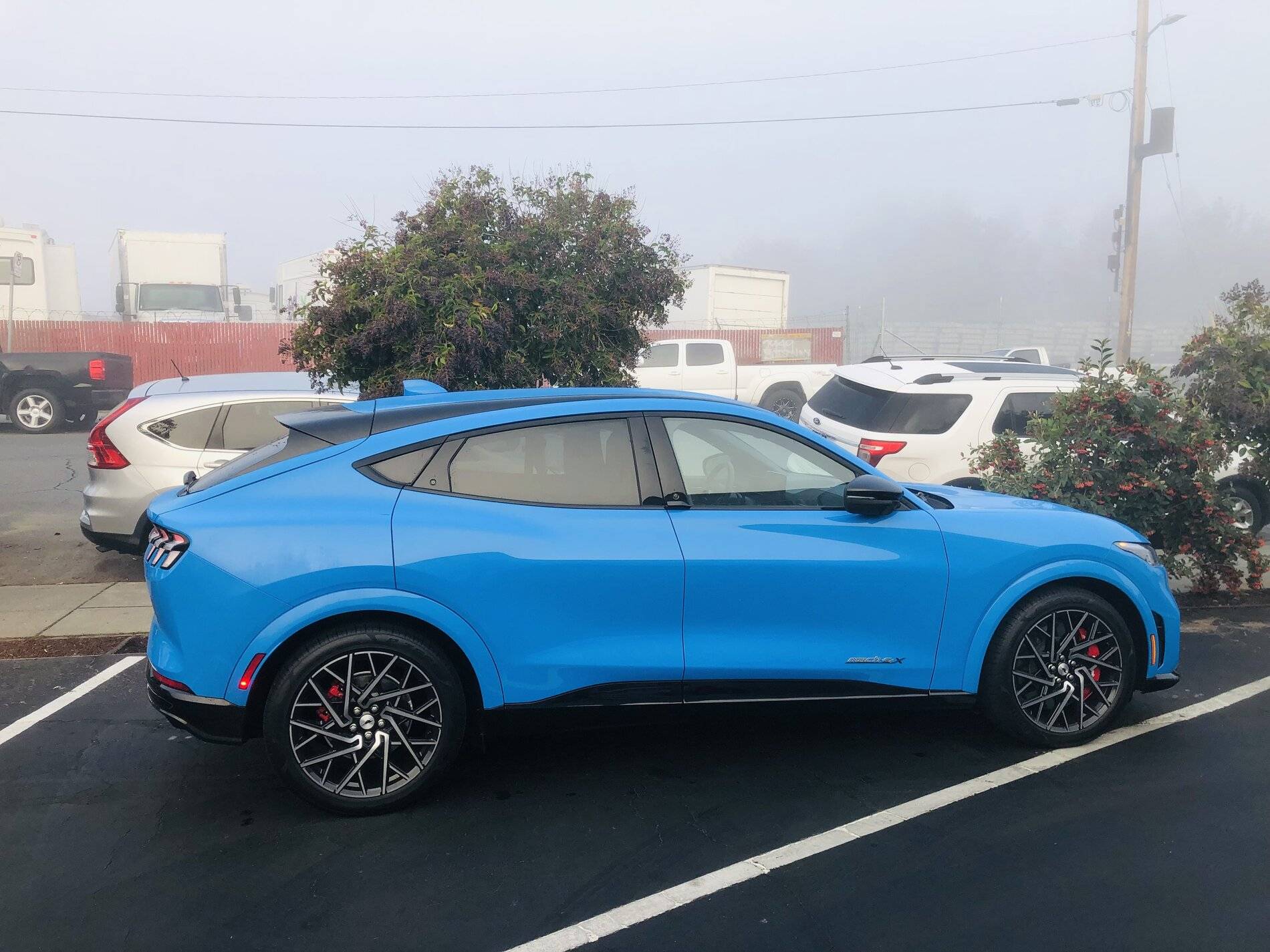 Ford Mustang Mach-E GRABBER BLUE Mach-E Photos 5D2B14F5-43ED-4F20-B09E-CB51D521EA92