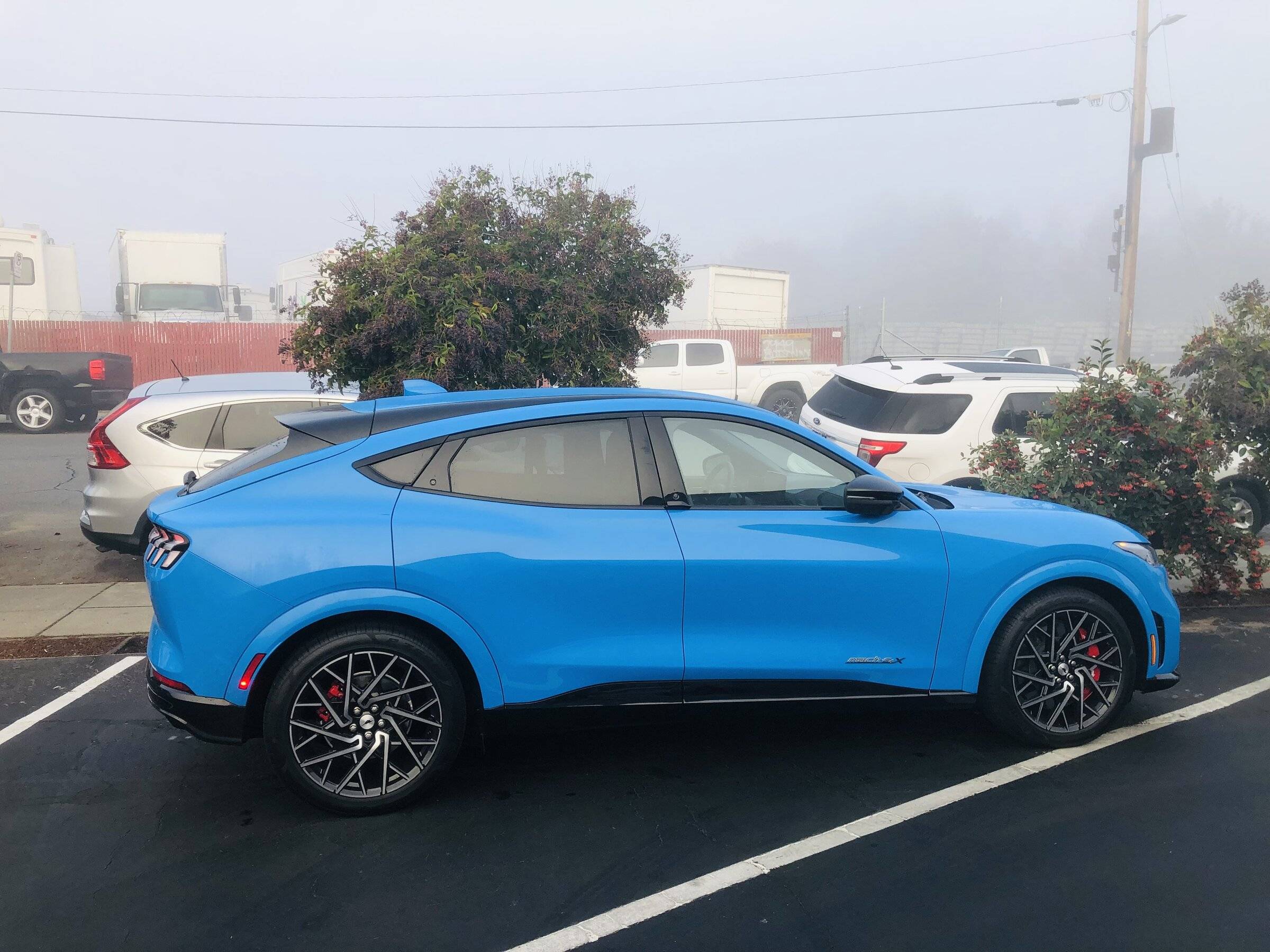 Ford Mustang Mach-E Questions about Mach-E Perf 84B9AD90-9CE2-4A9D-A851-49AB9410CAE1