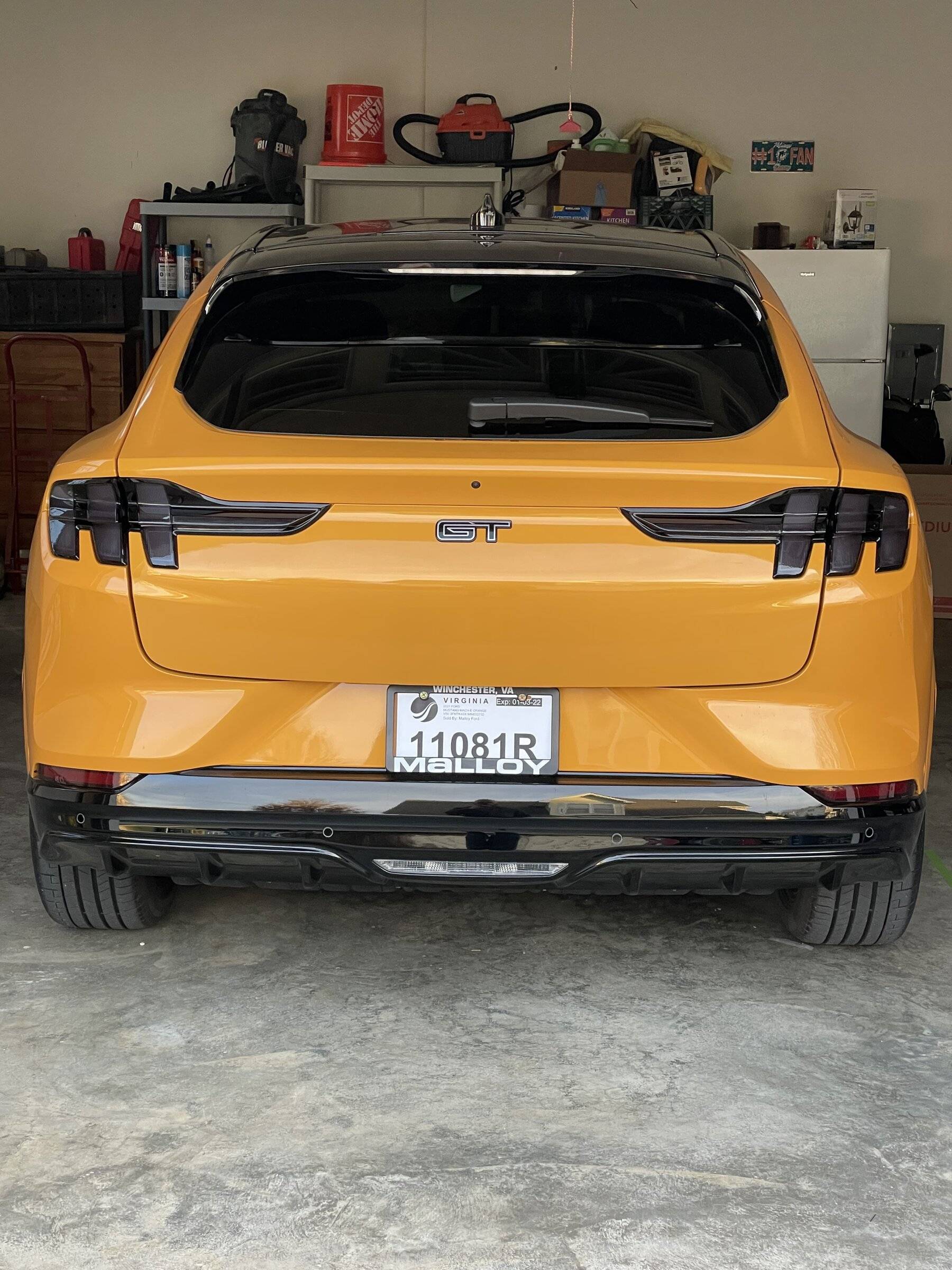 Ford Mustang Mach-E Taillight tint 97EED929-F166-4494-873C-25ED6D0E4902