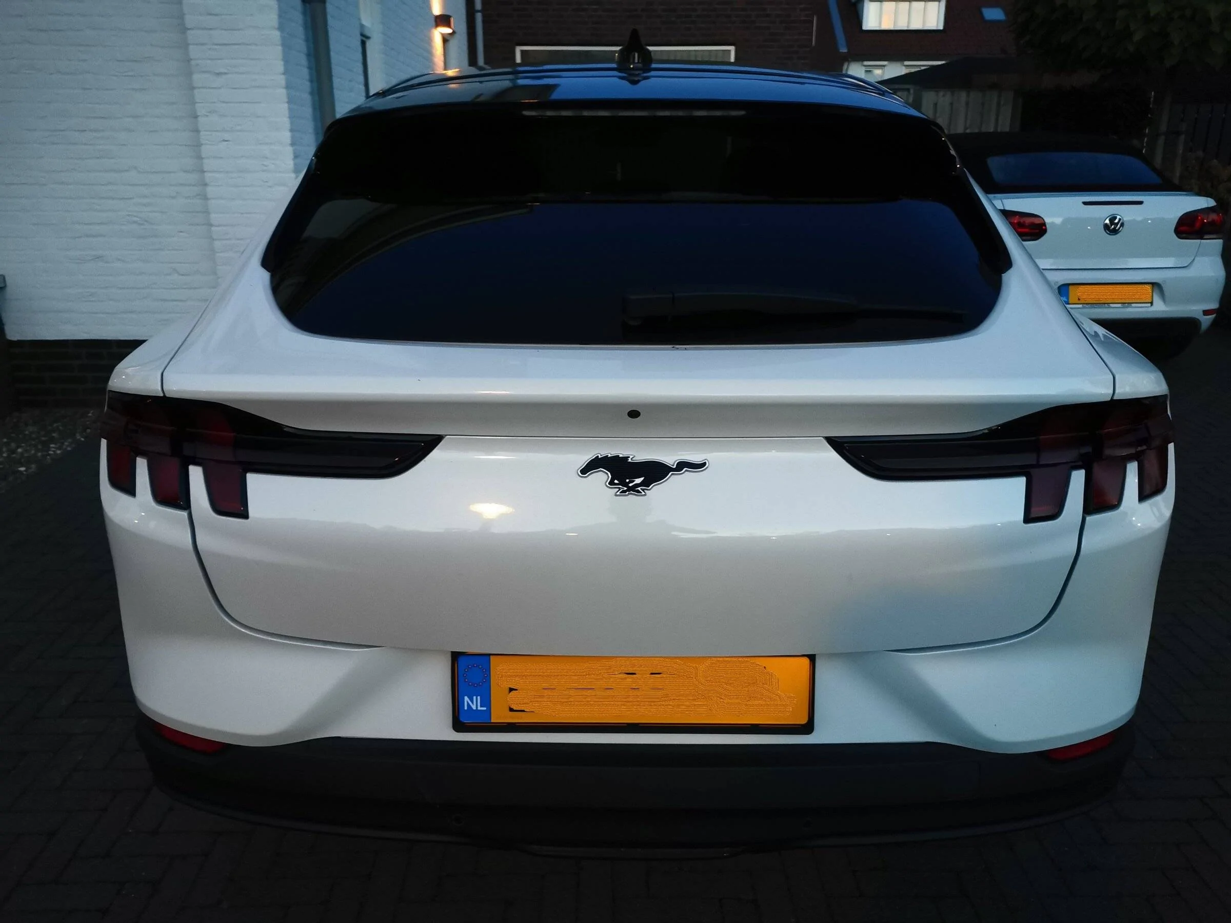 Ford Mustang Mach-E Taillight tint IMG_20211011_192015