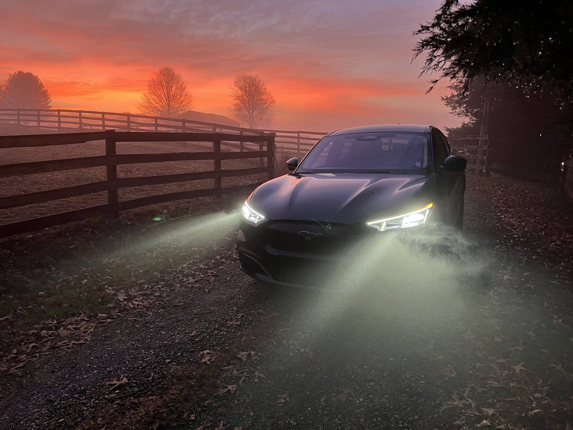 Ford Mustang Mach-E SHADOW BLACK Mach-E Photos D22F385D-8F71-4C8B-B3D3-3A02022578AF