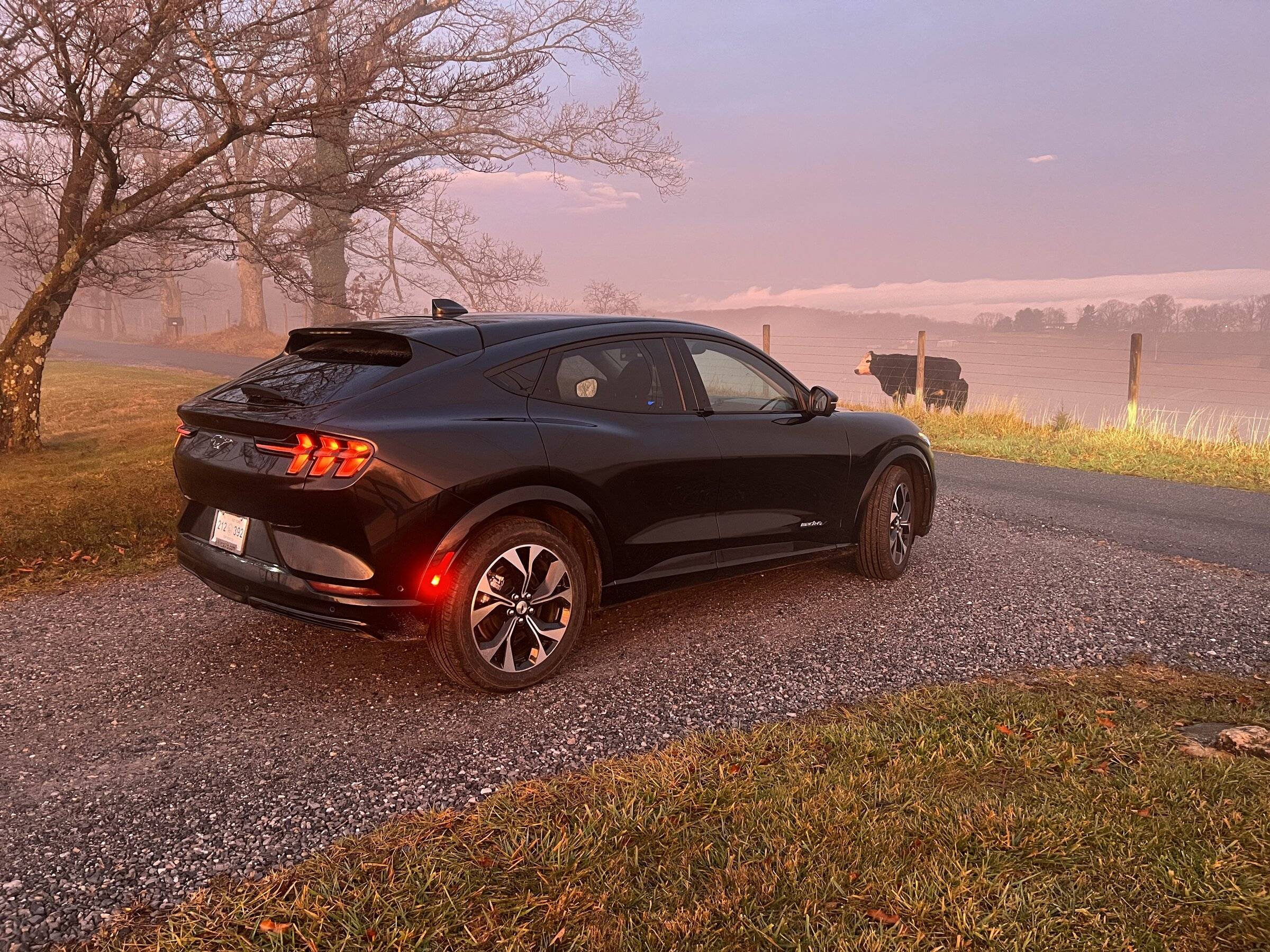 Ford Mustang Mach-E SHADOW BLACK Mach-E Photos CAC0DB1A-8A25-4F4A-8510-A57399316E67