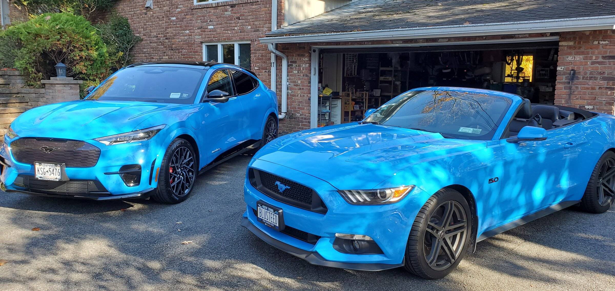 Ford Mustang Mach-E GRABBER BLUE Mach-E Photos 20211109_133015