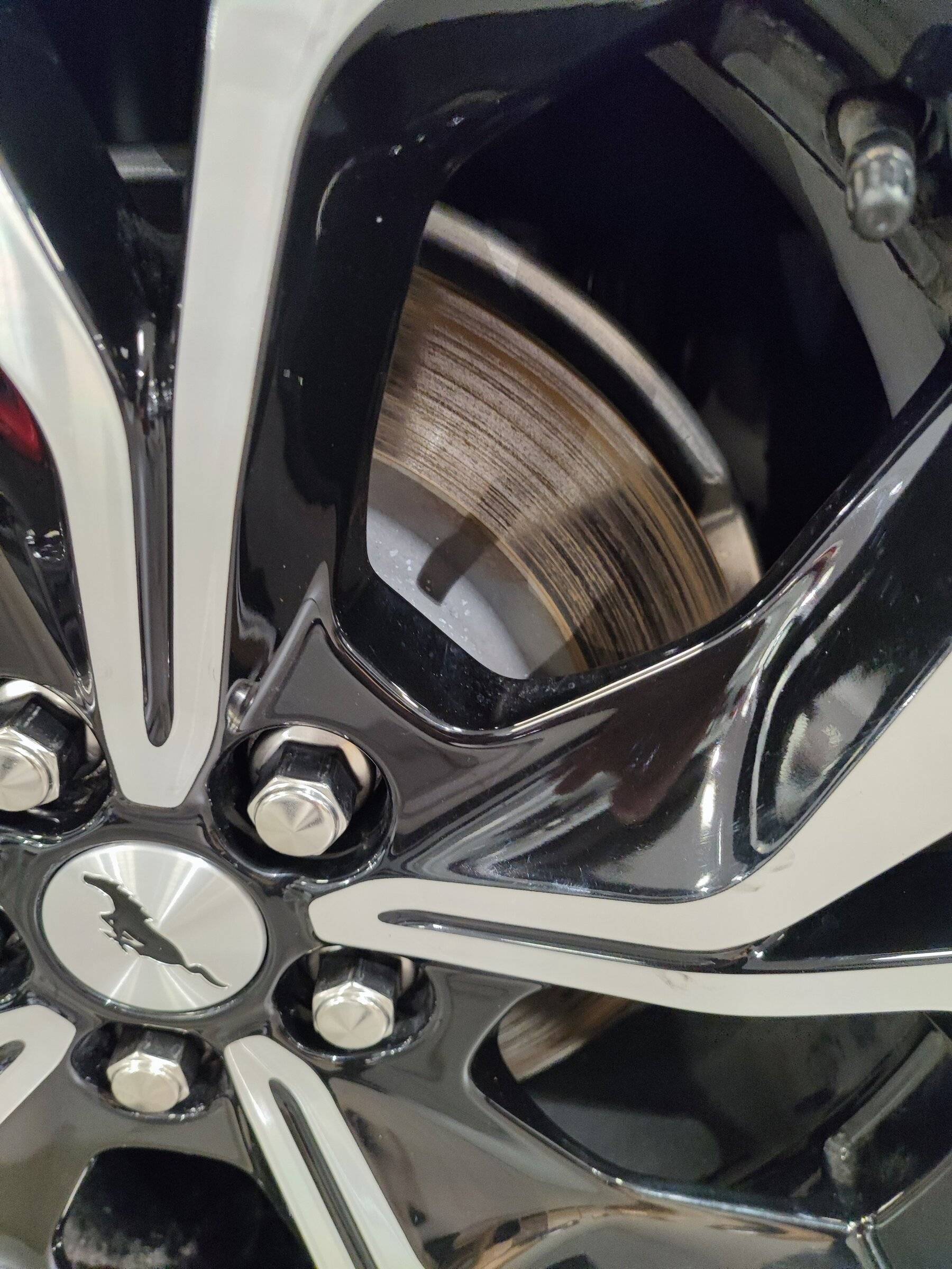 Ford Mustang Mach-E Brake Discs Wear Problem? 1639493813276