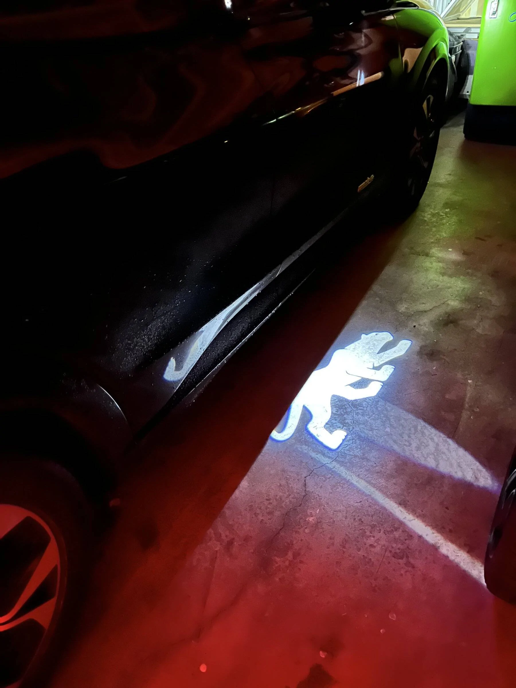 Ford Mustang Mach-E Puddle lights…panther? 9ED66EF0-0F35-47D0-B8FD-B88E59AD16FE