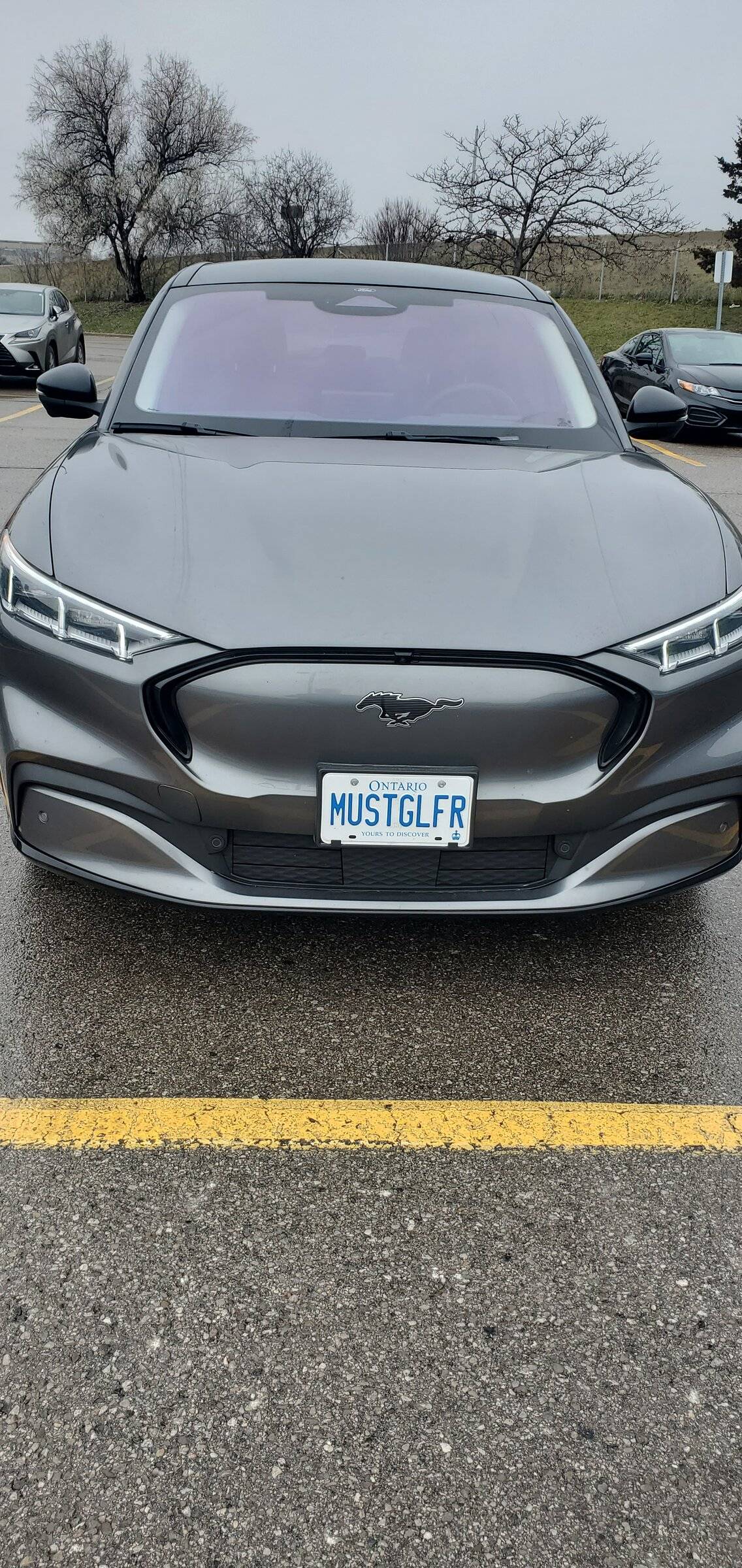 Ford Mustang Mach-E Post up your custom plates! 20211231_115122