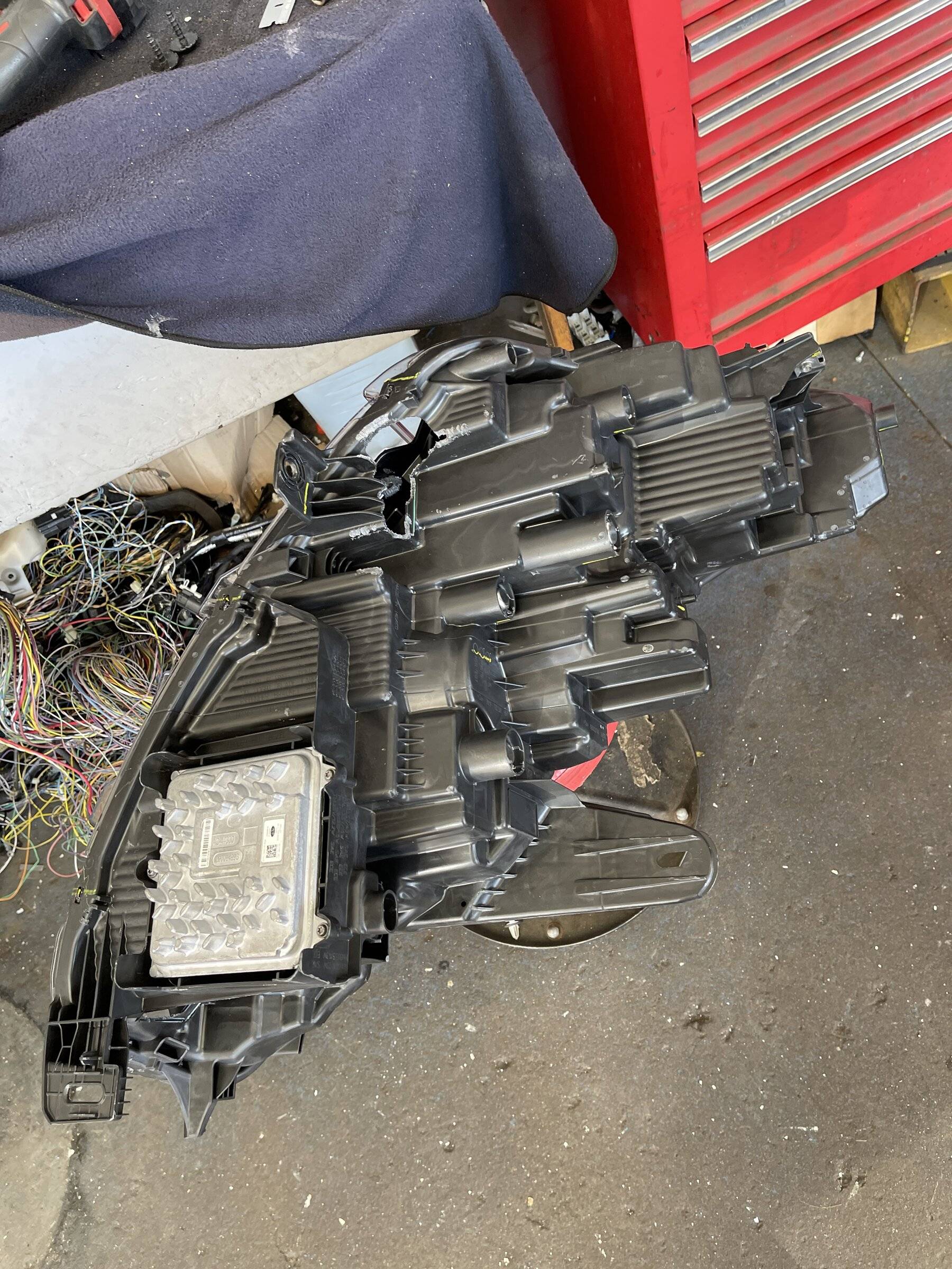 Ford Mustang Mach-E Mustang MachE GT - Rats ate my front wireing harness IMG_3478.JPG