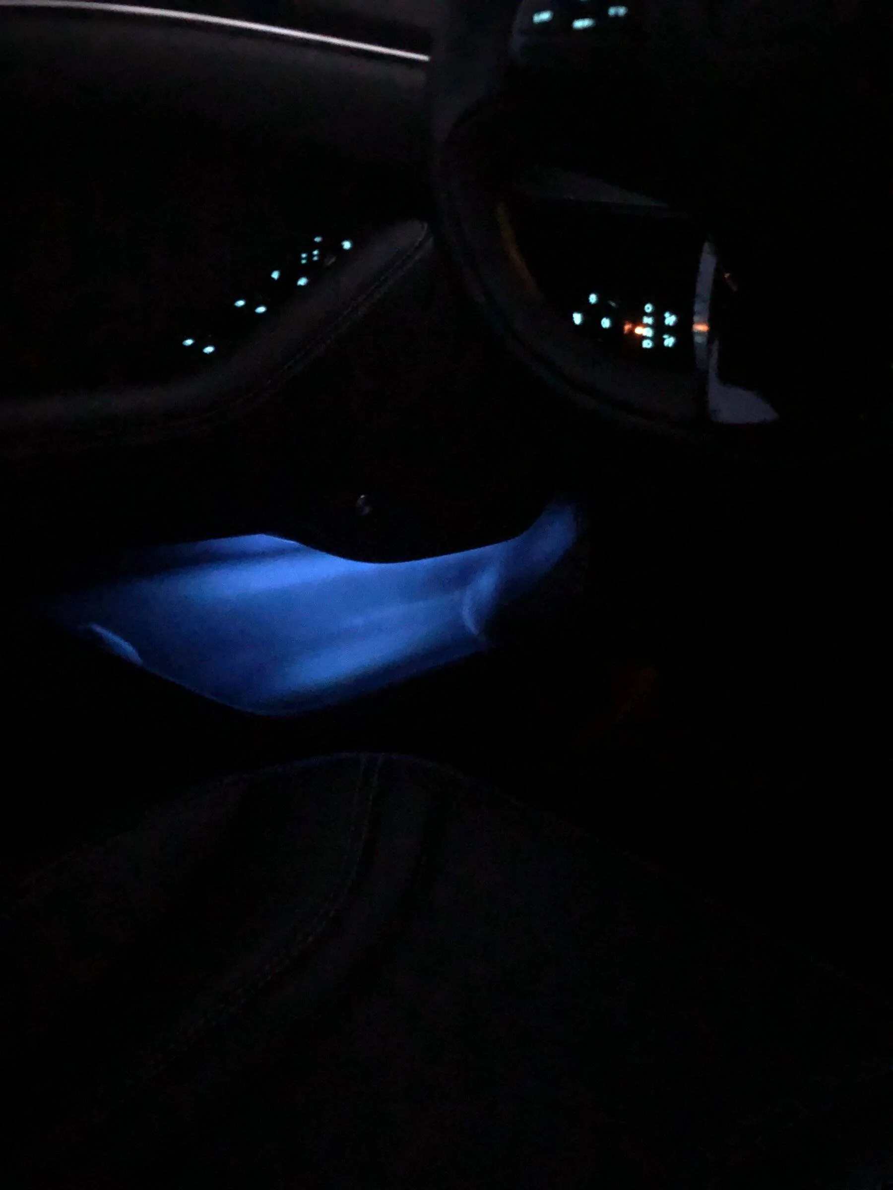 Ford Mustang Mach-E Adding ambient lighting in the rear door storage area 9F90DEE0-4C25-4FFF-AF5D-022B7B771218