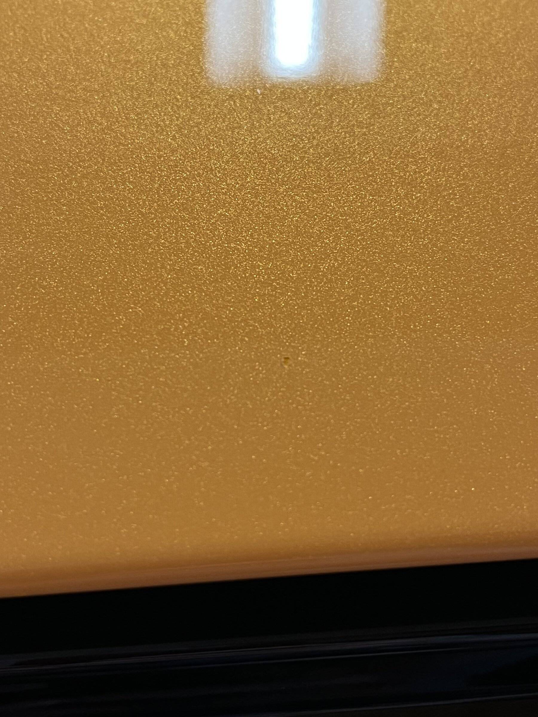 Ford Mustang Mach-E Anyone touch up their paint yet? 001DA393-BA3B-42EC-B2F6-D4E12F7B36A3
