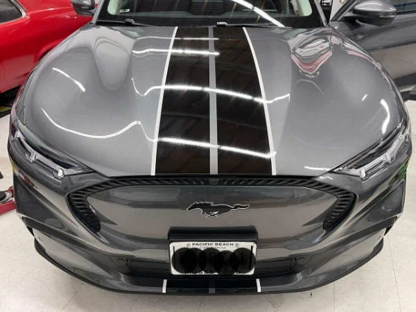 Ford Mustang Mach-E Got new racing stripes w/pinstripes! Carbonized Gray. 06a7bab4-80f2-44cc-b79e-44ed1708520f