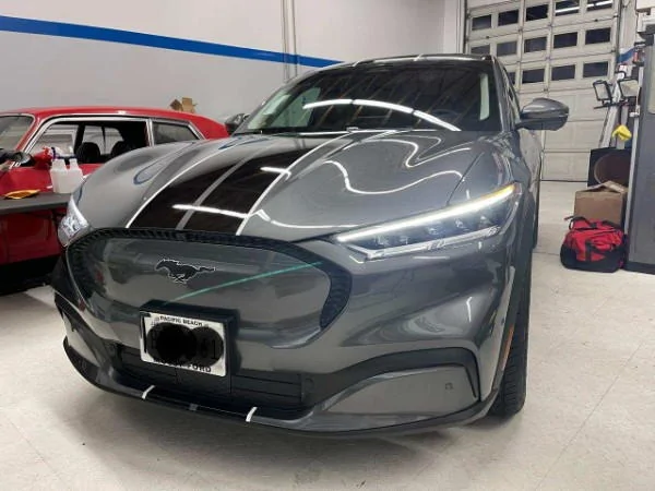 Ford Mustang Mach-E Got new racing stripes w/pinstripes! Carbonized Gray. 5536ecb6-21df-45c4-9ef1-d56093b72d2