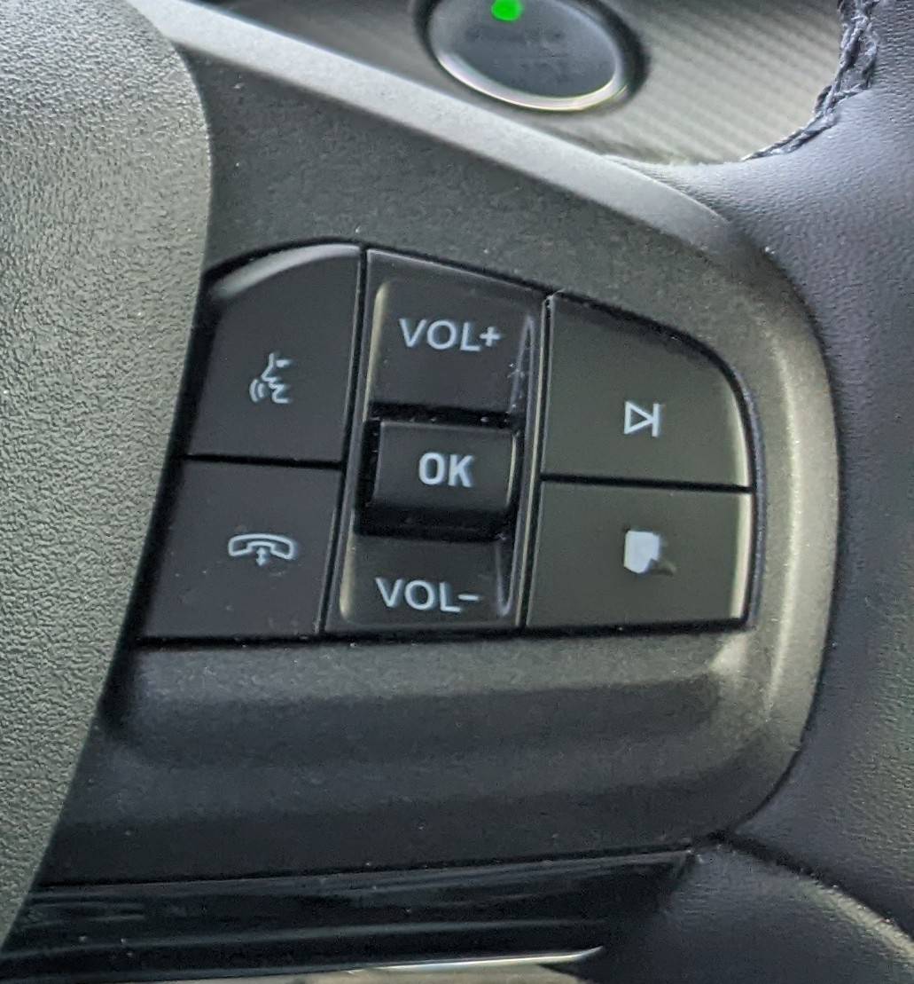 Ford Mustang Mach-E Steering Wheel Buttons Wear PXL_20220113_221147447
