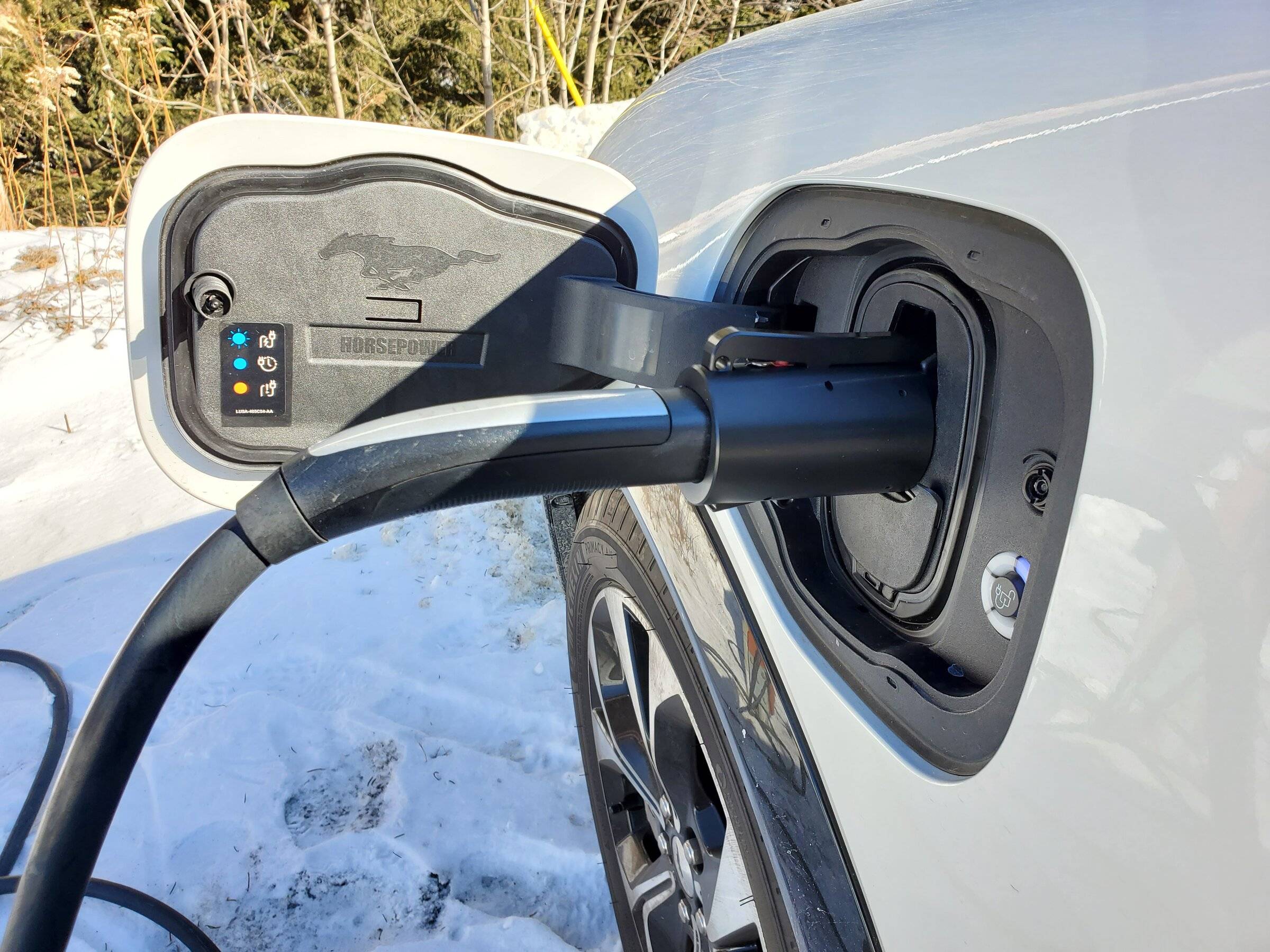 Ford Mustang Mach-E Tesla Tap does deliver! 20220115_121837