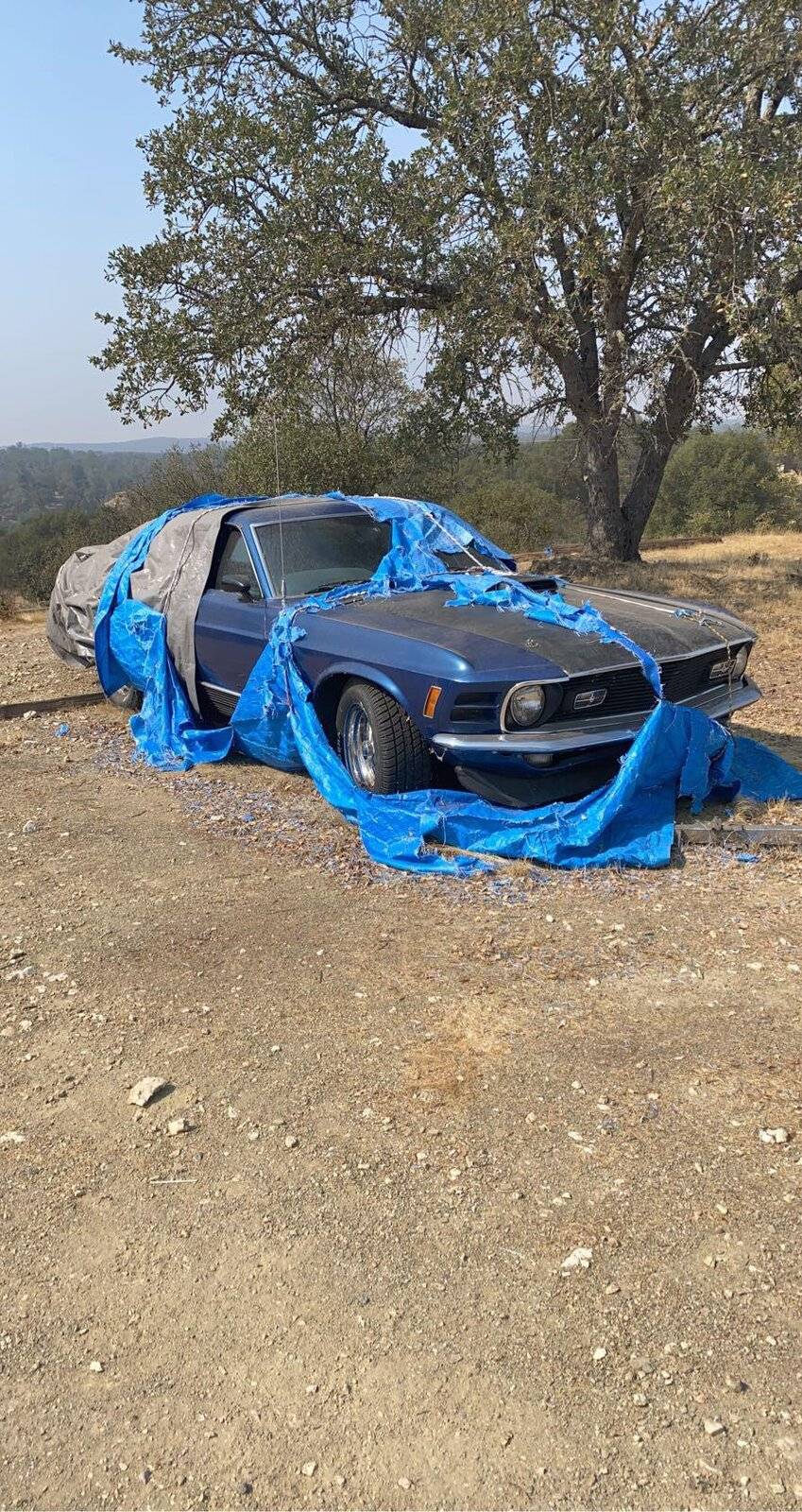 Ford Mustang Mach-E INFINITE BLUE METALLIC Mach-E Photos do7nrj1sa5r51