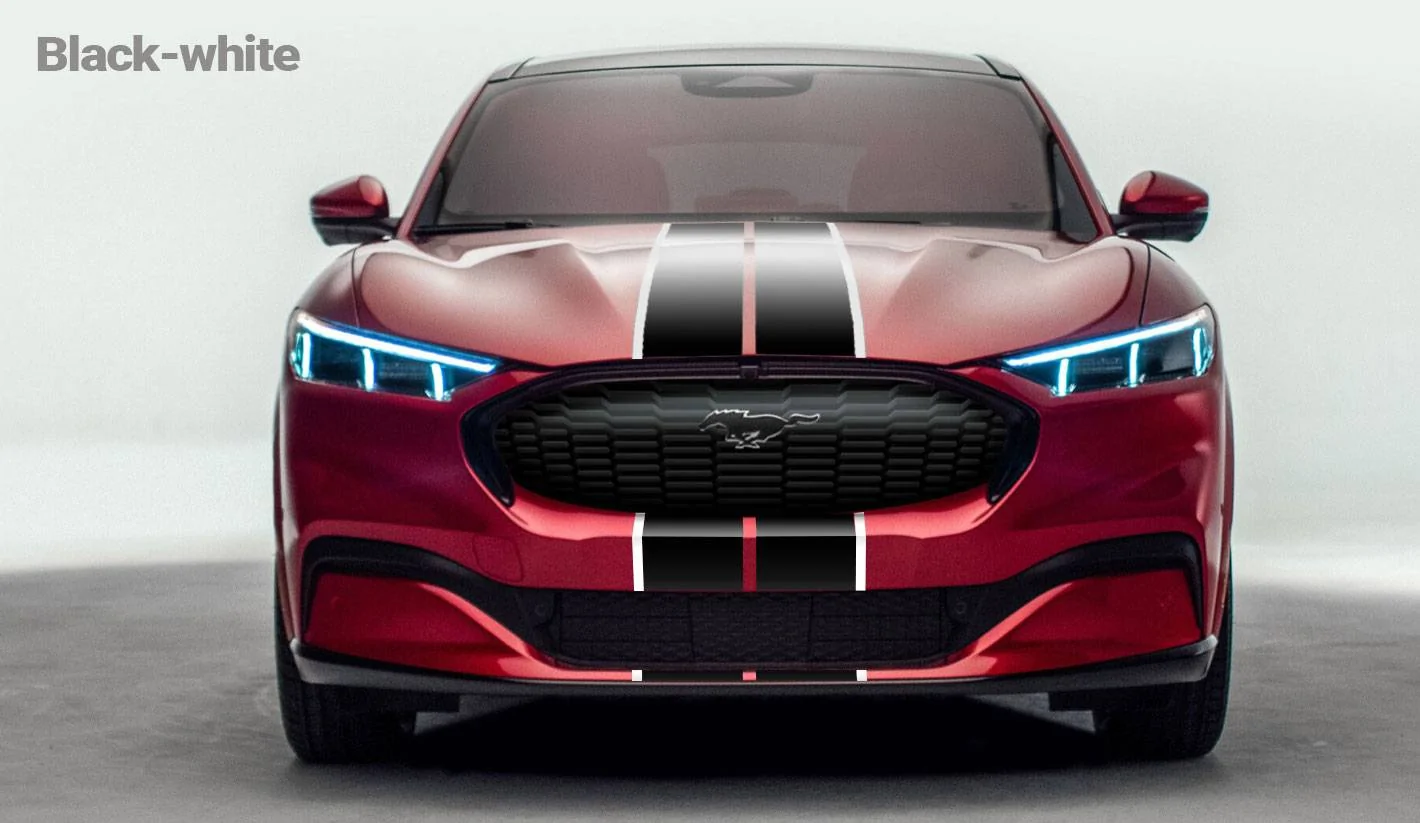 grille-stripes-bw.webp