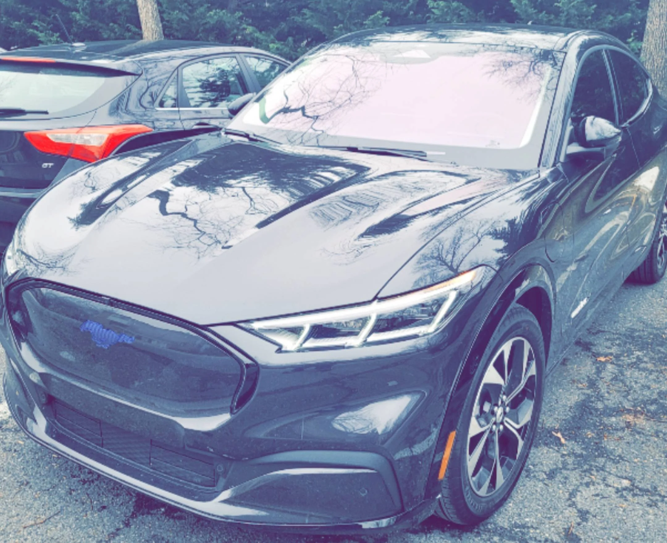 Ford Mustang Mach-E DARK MATTER GRAY Mach-E Photos Snapchat-1082034549