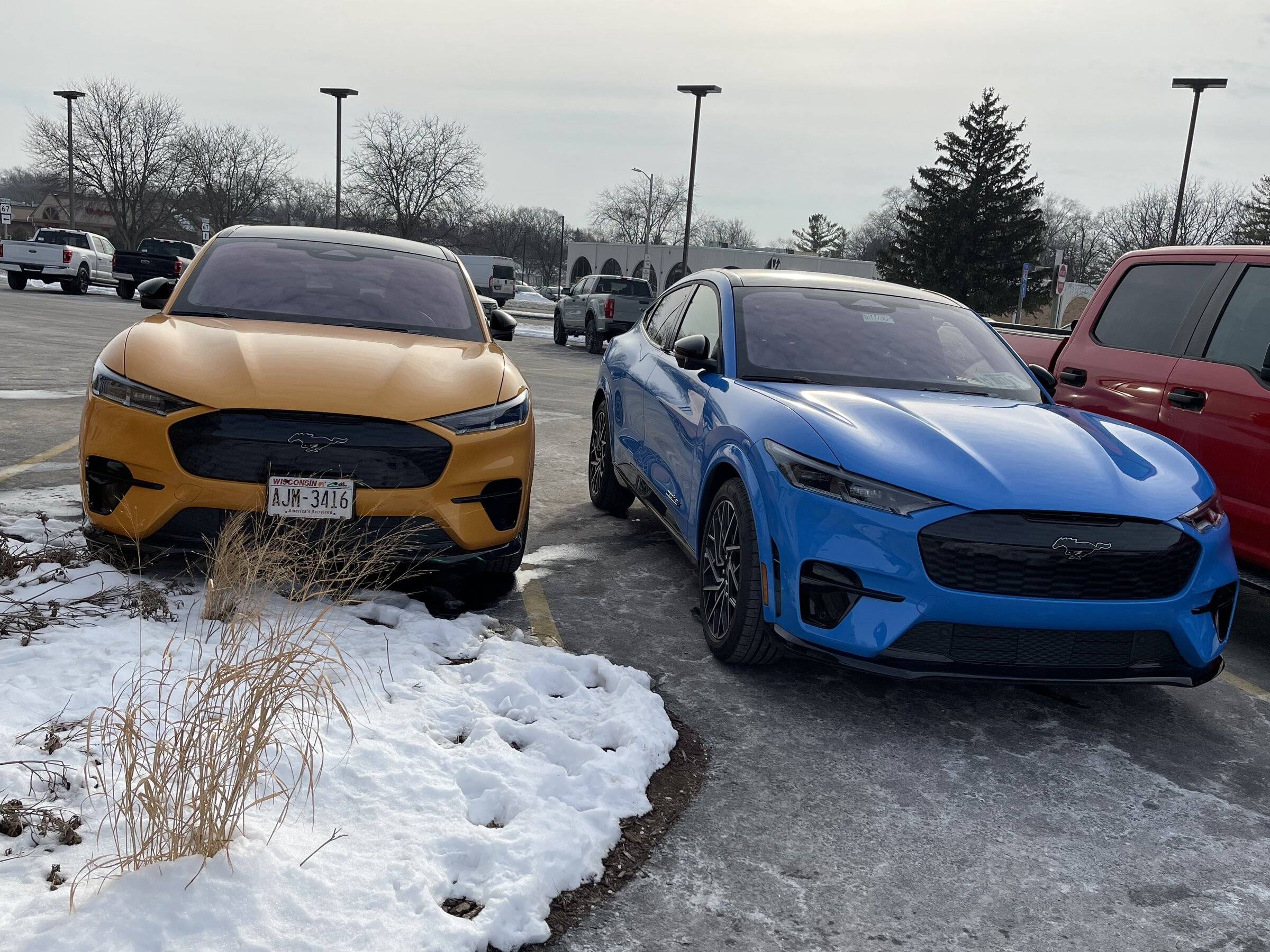 Ford Mustang Mach-E GRABBER BLUE Mach-E Photos 1643691574248