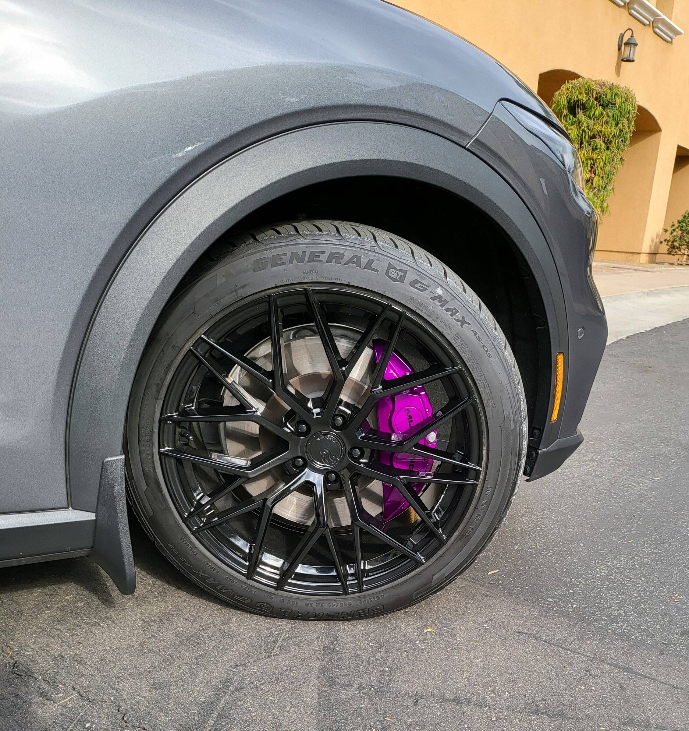 Ford Mustang Mach-E Brake caliper show and tell.... 20220201_094154