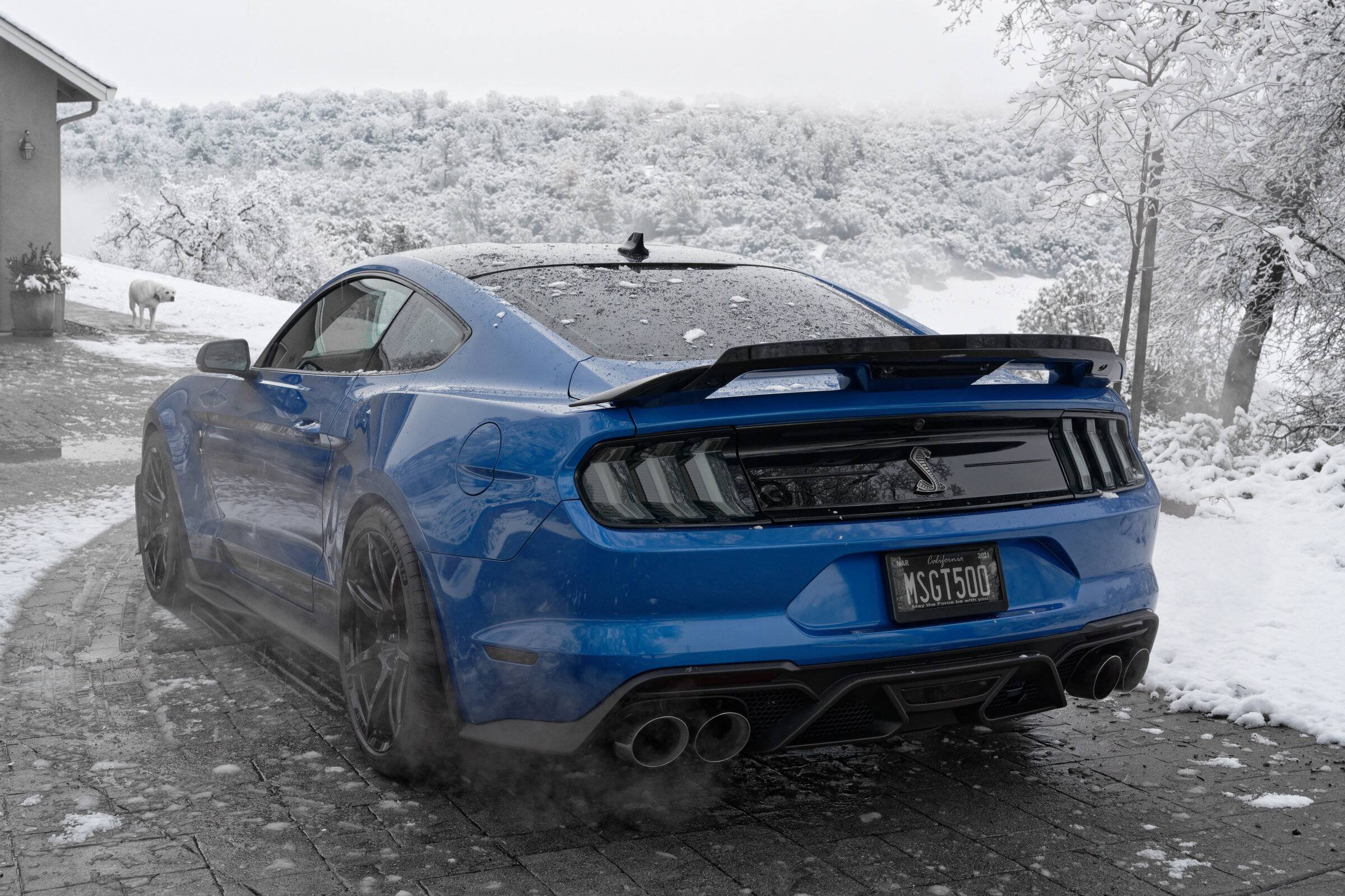 Ford Mustang Mach-E Jacking / Lifting Mach-E NZ7_53903000