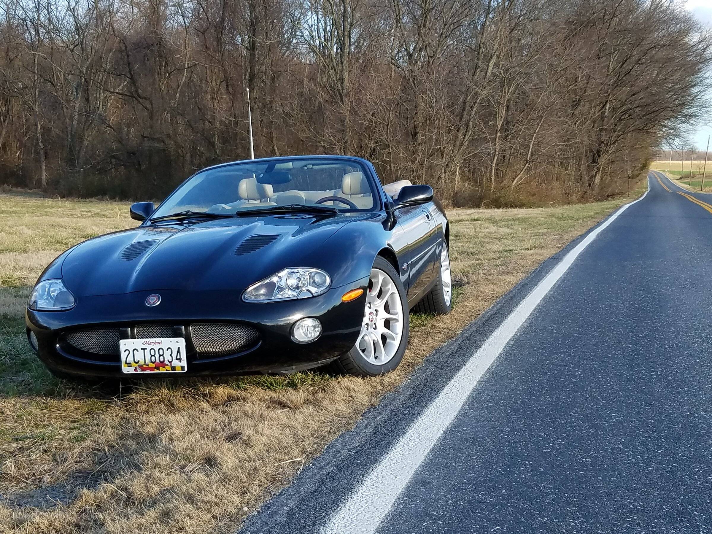 20170224_162418.jpg