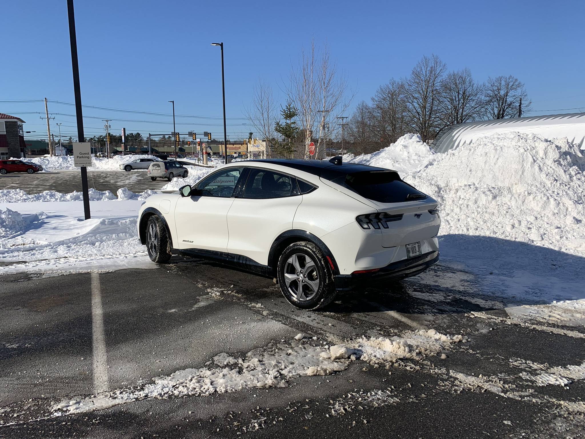 Ford Mustang Mach-E star white vs sky white C8ADB0E2-BEE3-435A-8A19-DFDC38AAFE74