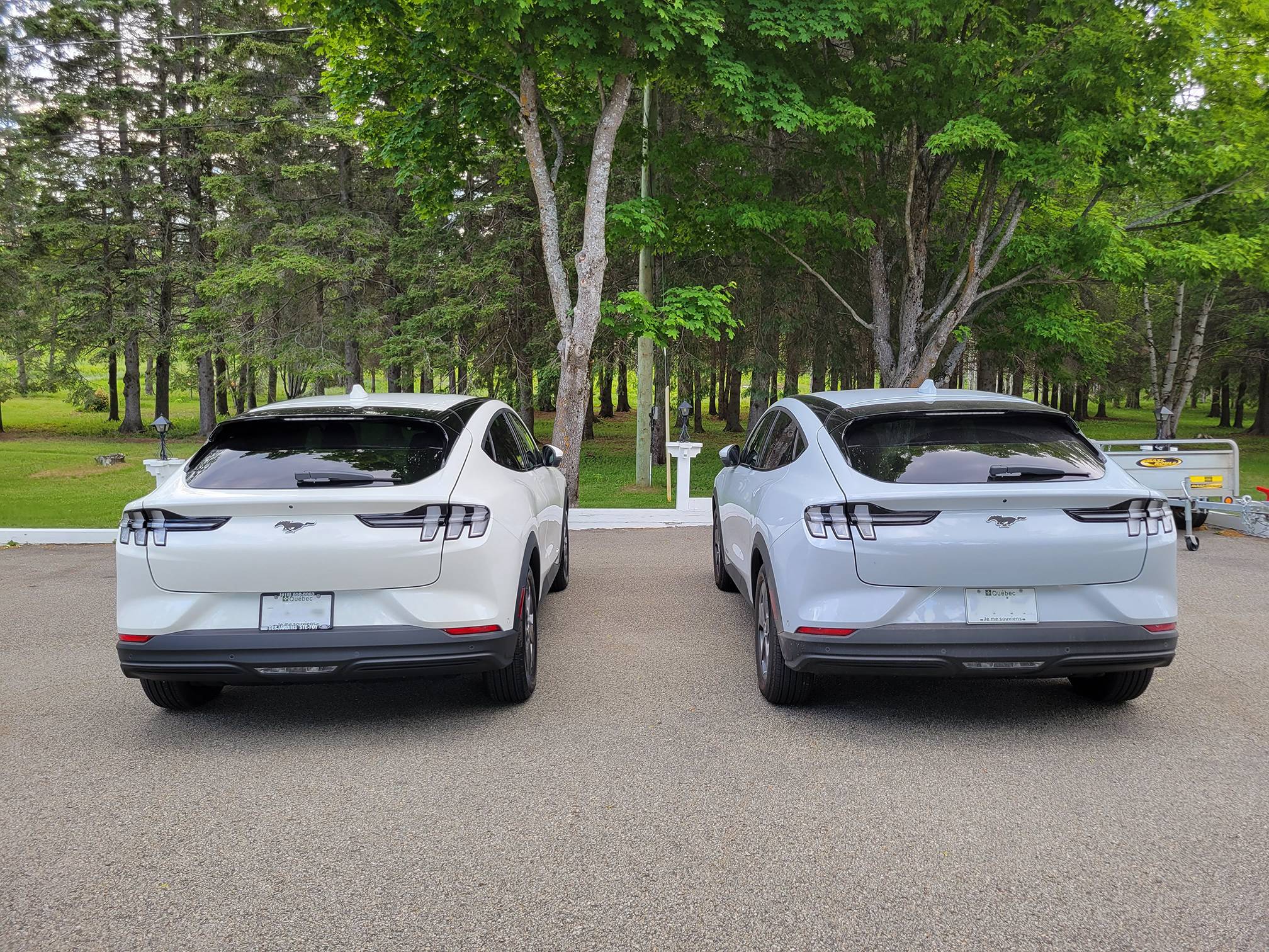 Ford Mustang Mach-E star white vs sky white 20210611_175240