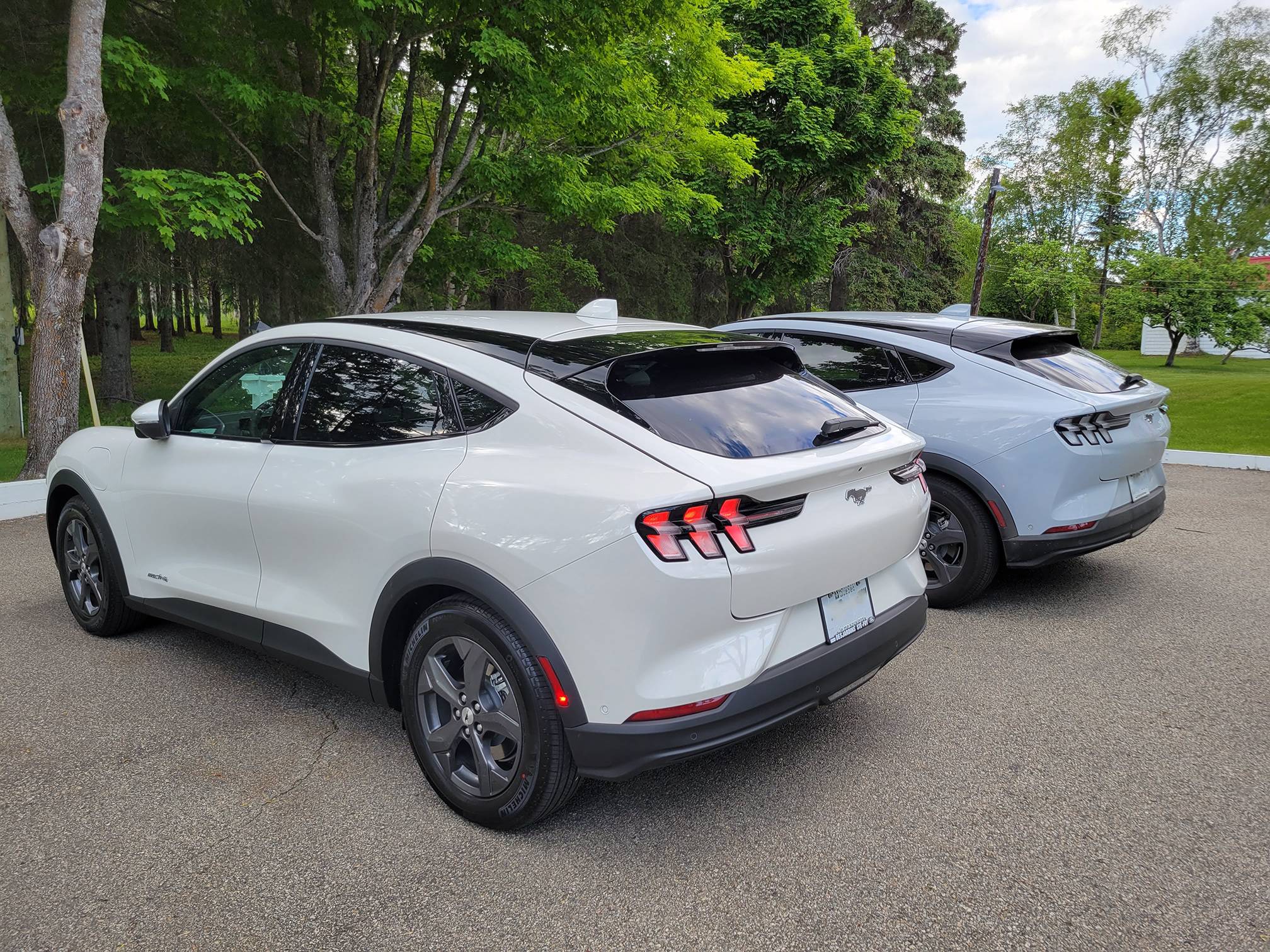 Ford Mustang Mach-E star white vs sky white 20210611_175256