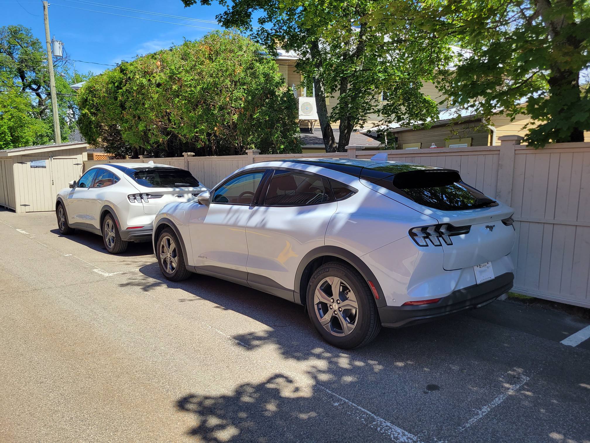 Ford Mustang Mach-E star white vs sky white 20210702_140106