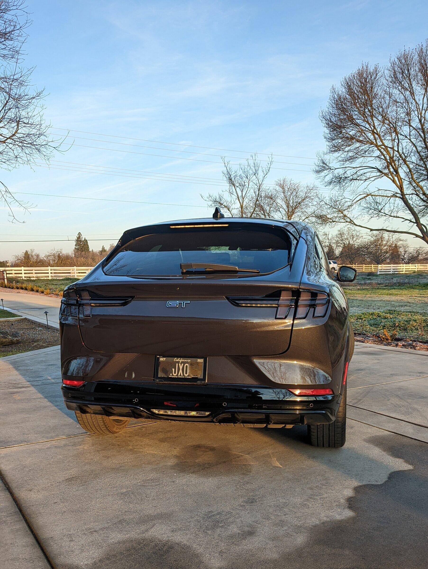 Ford Mustang Mach-E Taillight tint 1644468309256
