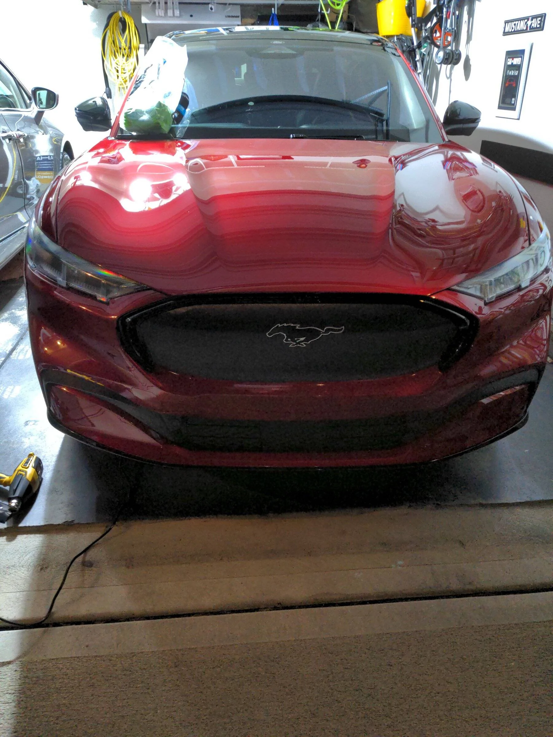 Ford Mustang Mach-E Decided Against “Grill” Vinyl IMG_20220112_191420_01