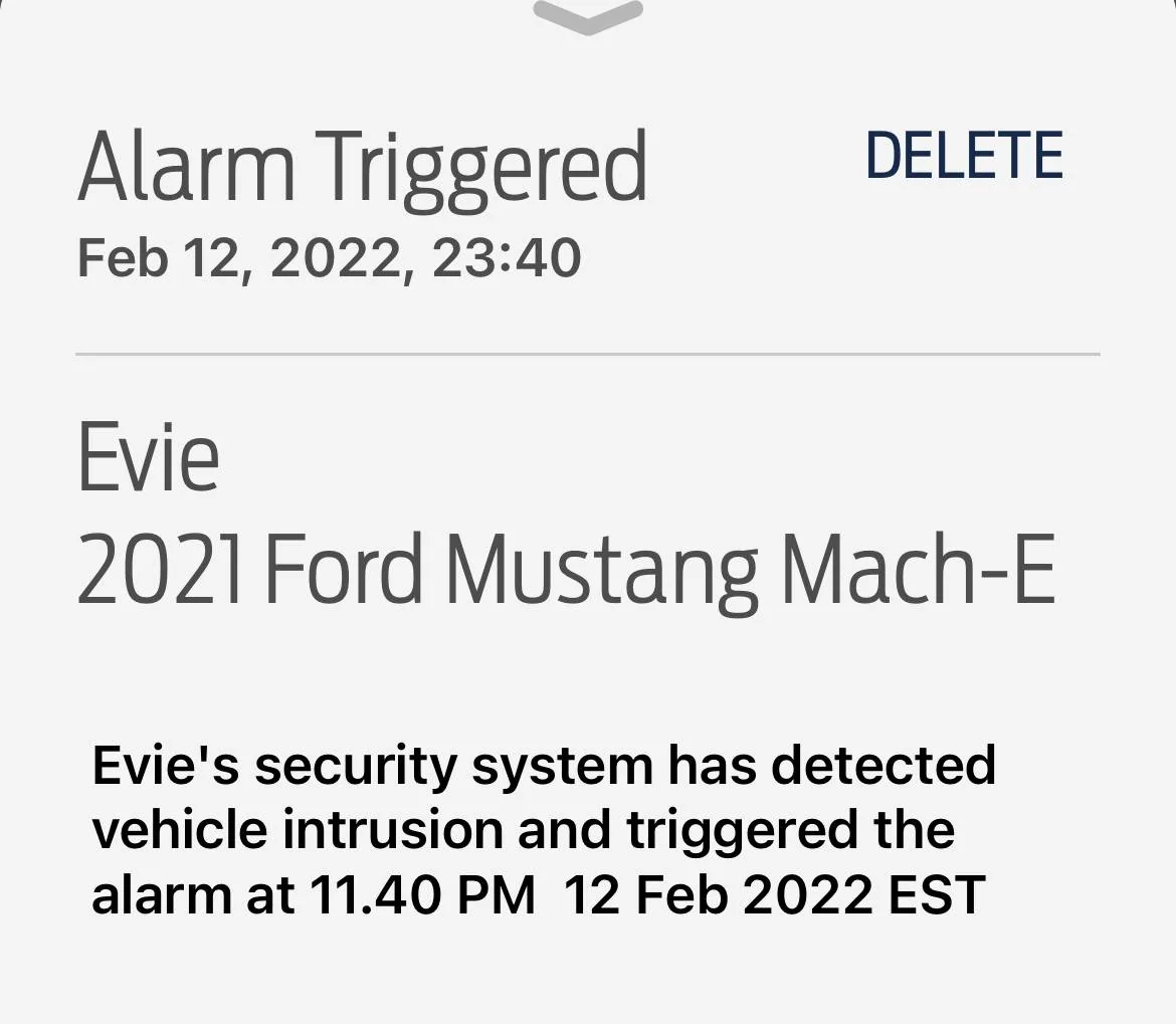 Ford Mustang Mach-E False Alarm FalseAlarm