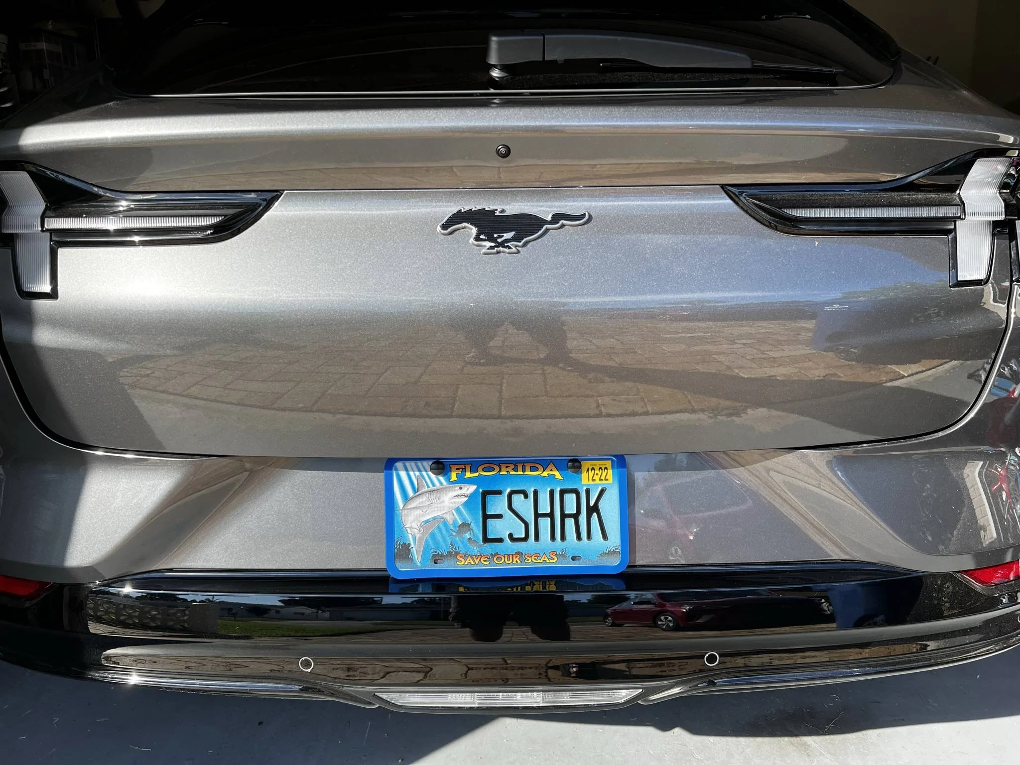 Ford Mustang Mach-E Post up your custom plates! 73CAD59B-7847-4A0D-A755-73B17694BB20