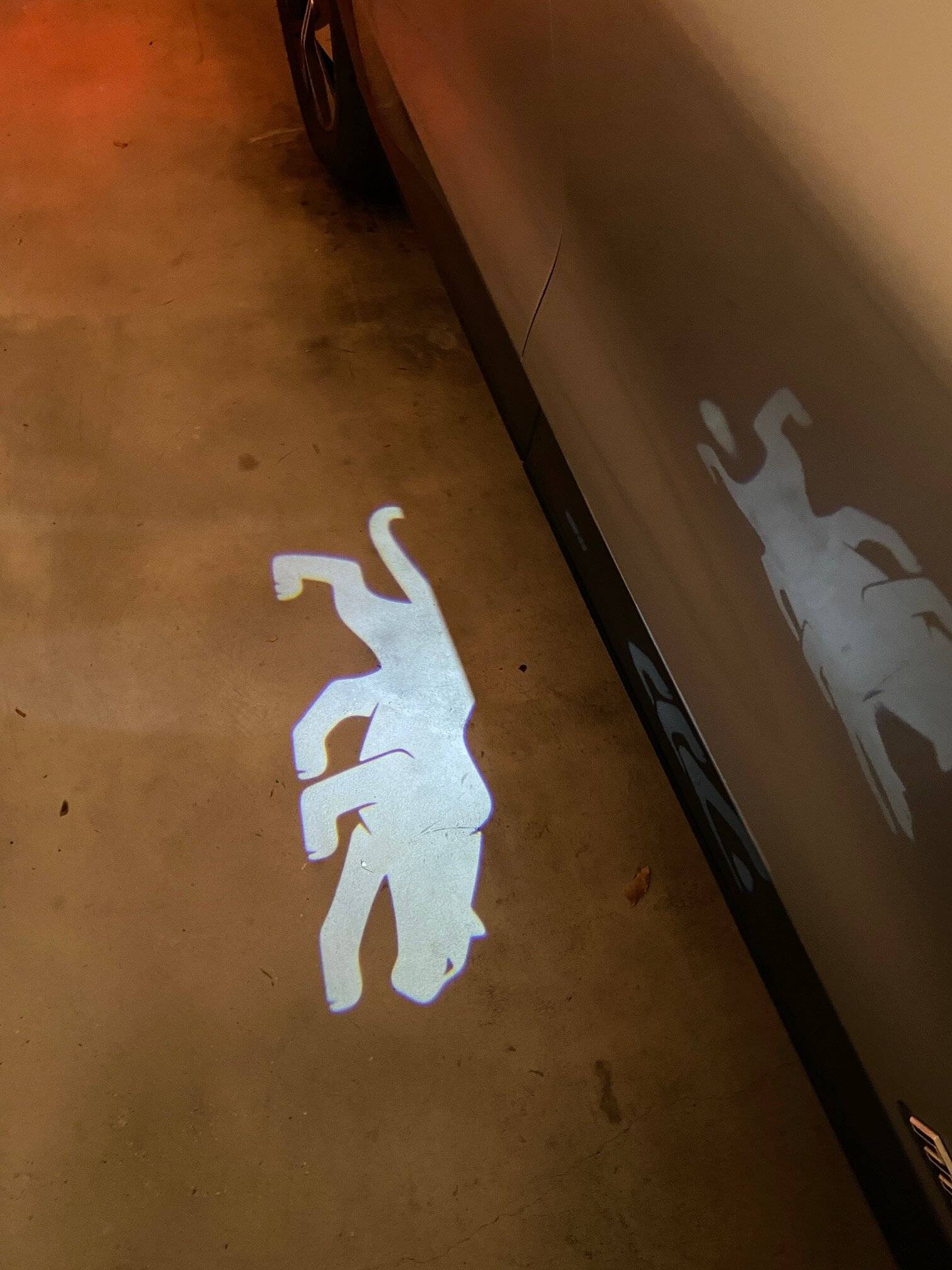 Ford Mustang Mach-E Puddle lights…panther? puddle light.JPG