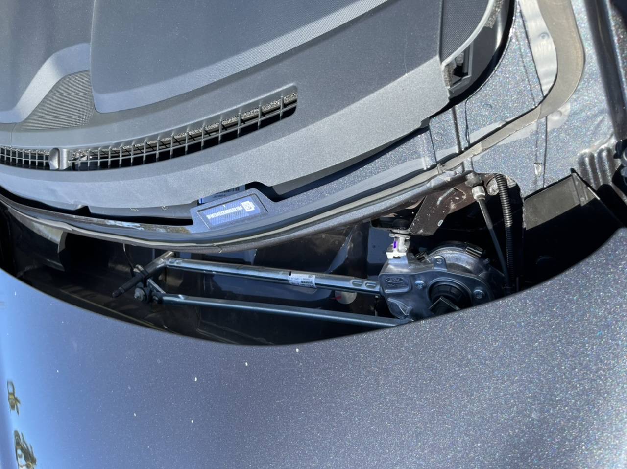 Ford Mustang Mach-E Behind the windshield (photos) C775FBB4-80A2-49D1-A483-FD9E513B64E5