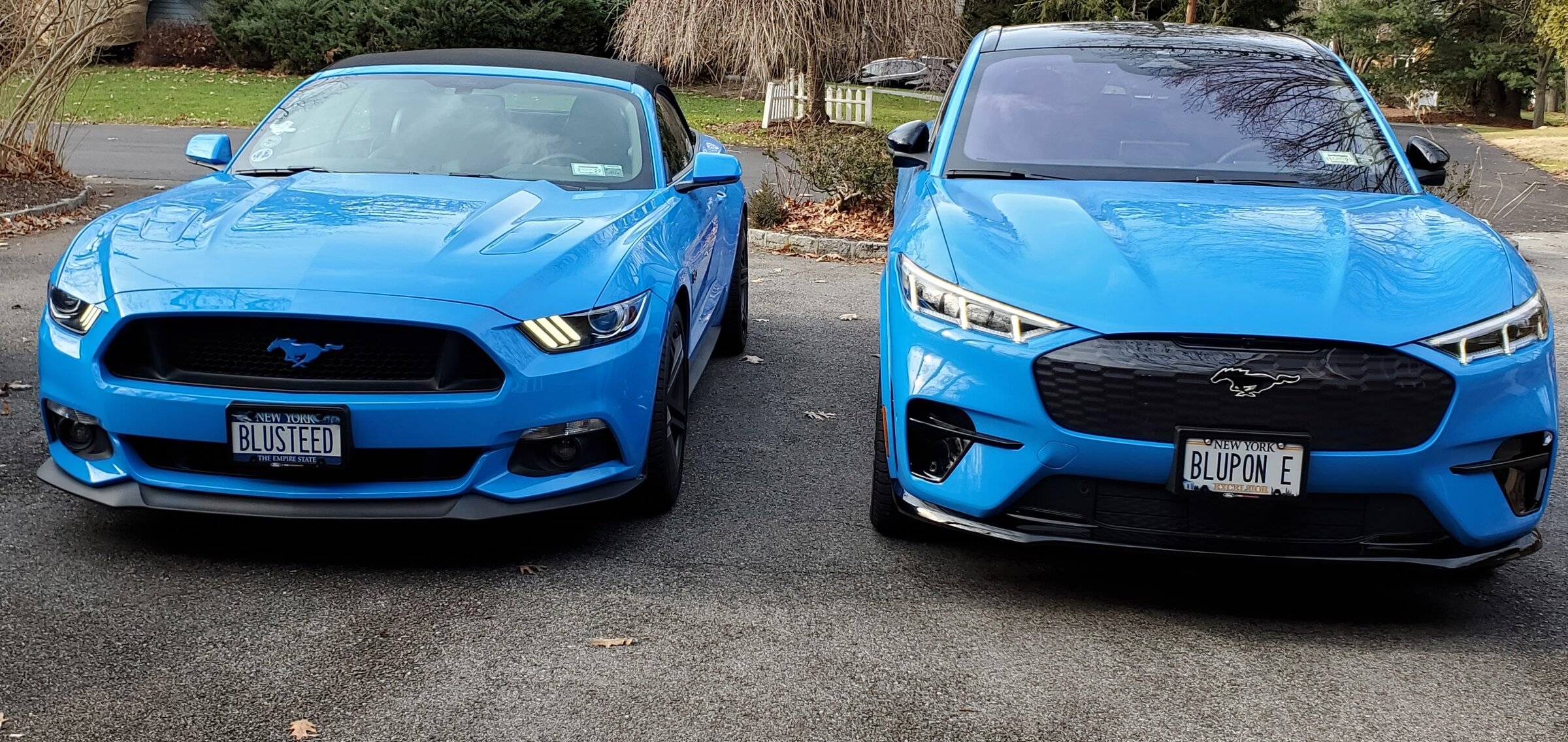 Ford Mustang Mach-E GRABBER BLUE Mach-E Photos 20211221_133428