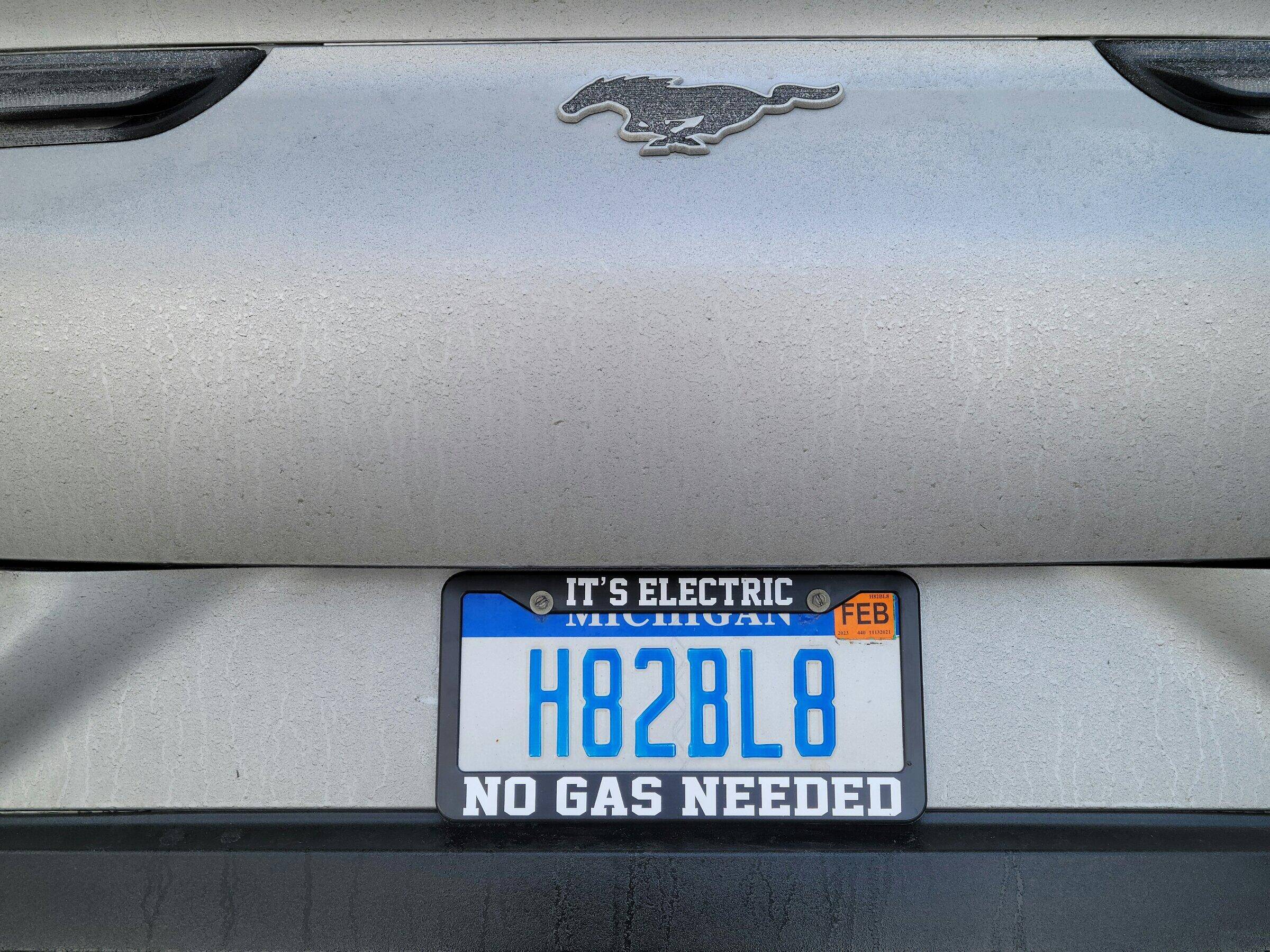 Ford Mustang Mach-E Custom Vanity Plates - What's Yours? 1645395977657