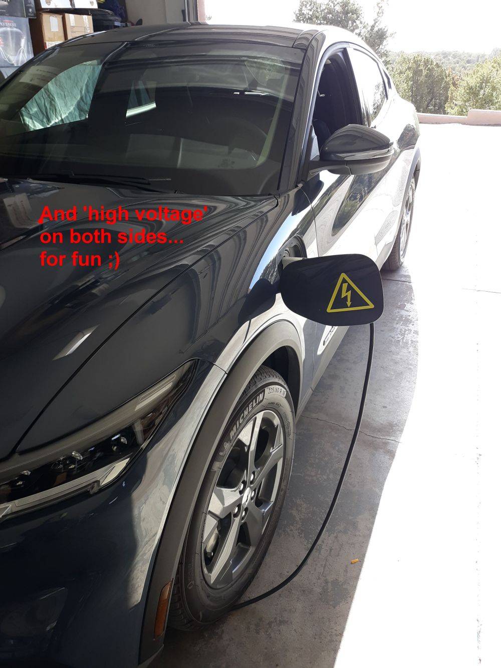 Ford Mustang Mach-E Vinyl covering for charge port door? 20210320 HV badge