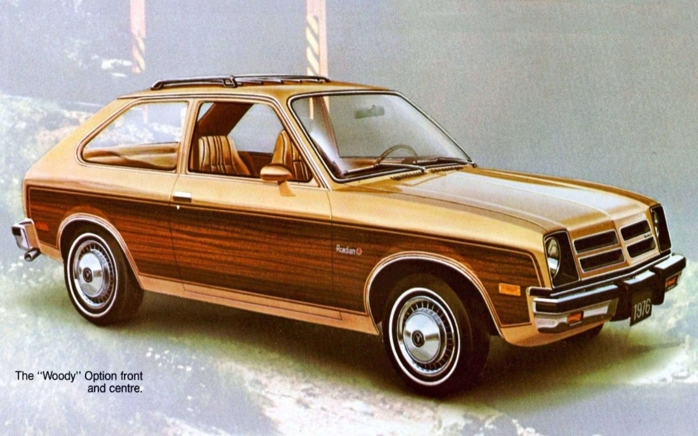 Ford Mustang Mach-E Wood dash kit? 1646986736400