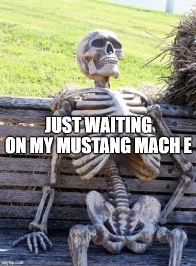 Ford Mustang Mach-E 01/10/22 Build Week Chat/Gang 1647021418580