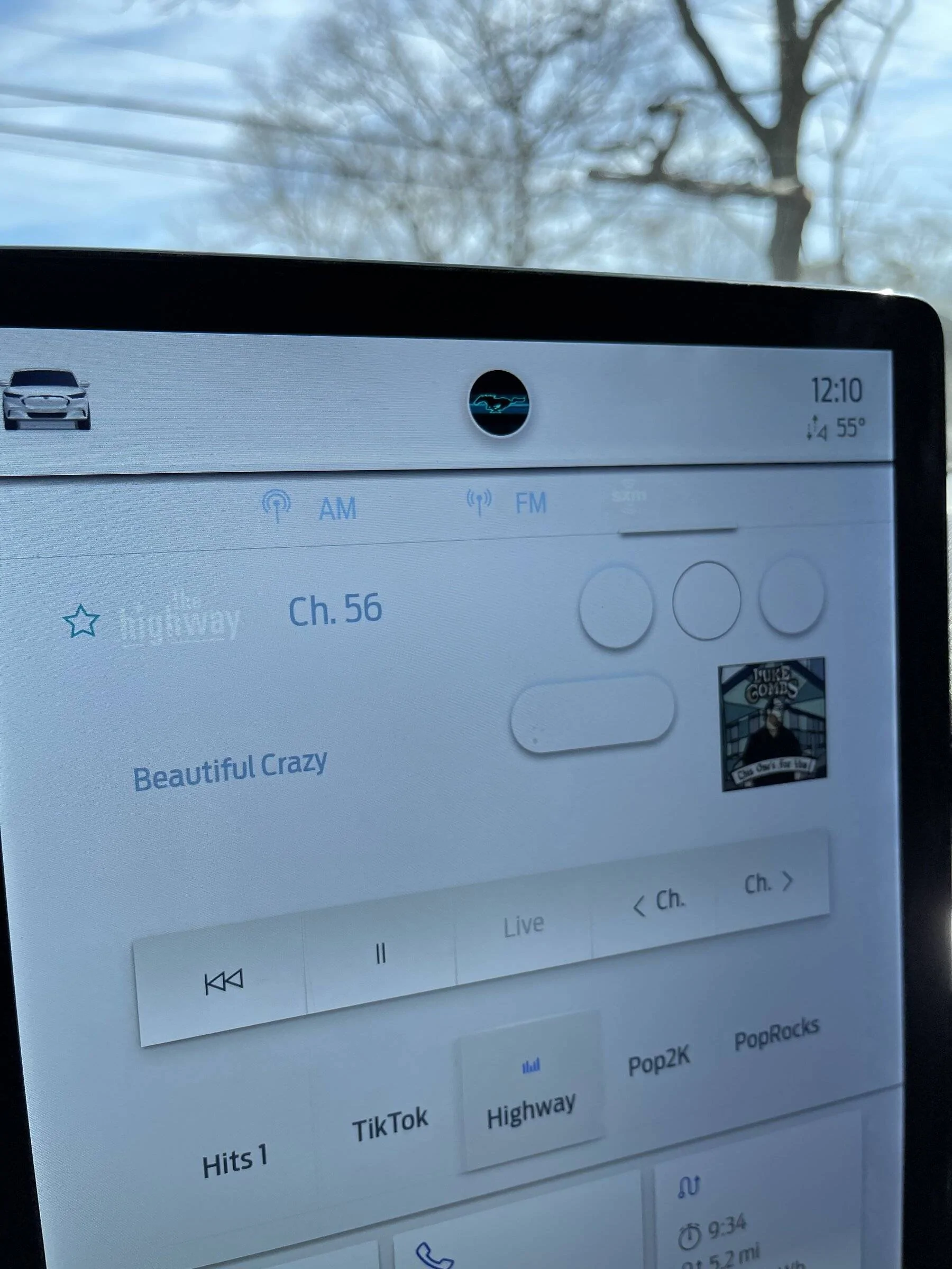 Ford Mustang Mach-E Infotainment glitch? 5D869C97-6DF1-4CE0-95F9-FFFF69A7FA8B