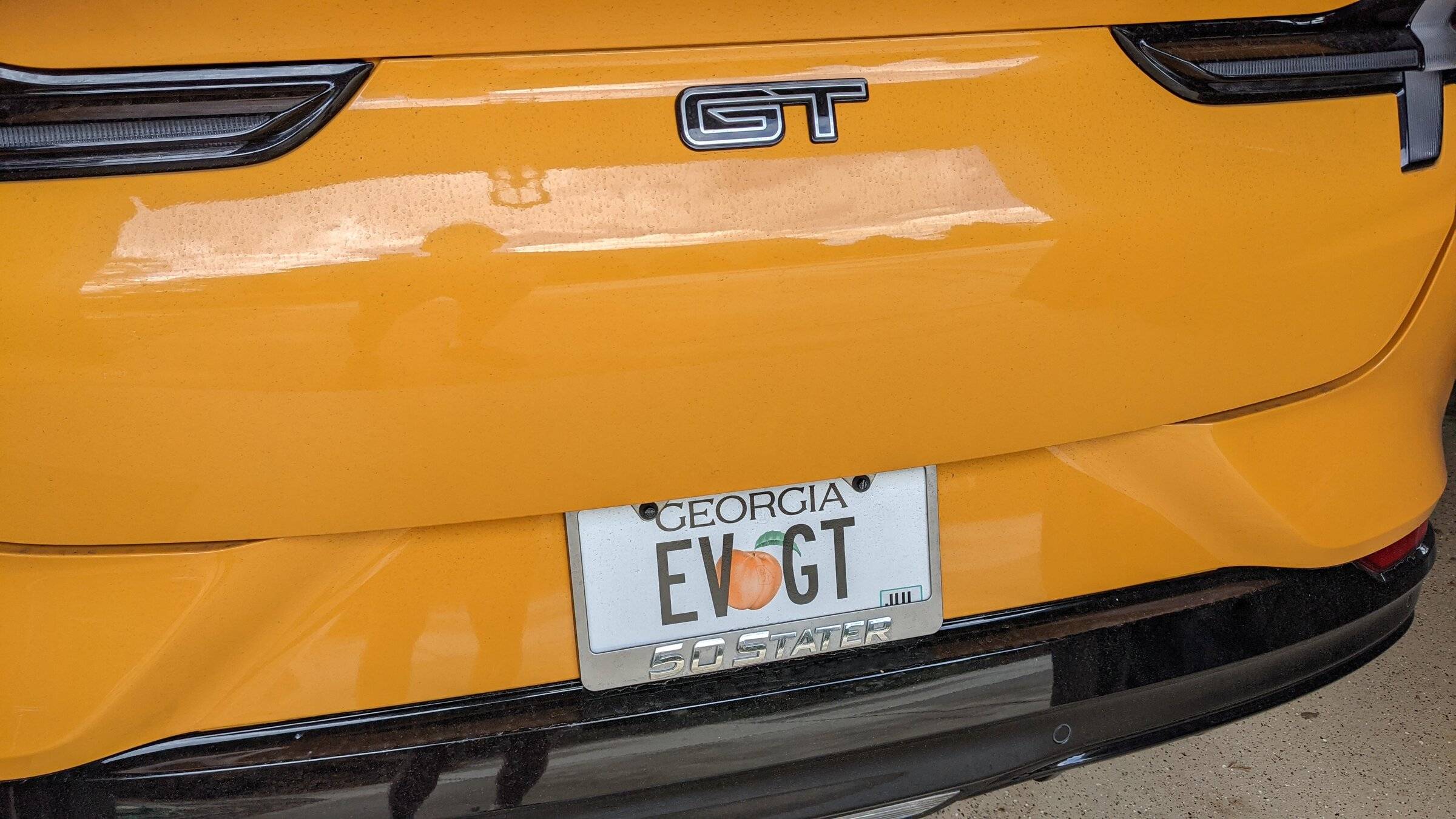 Ford Mustang Mach-E Vanity Plate Recommendations PXL_20220323_163729206