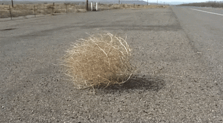 Ford Mustang Mach-E 01/10/22 Build Week Chat/Gang tumbleweed