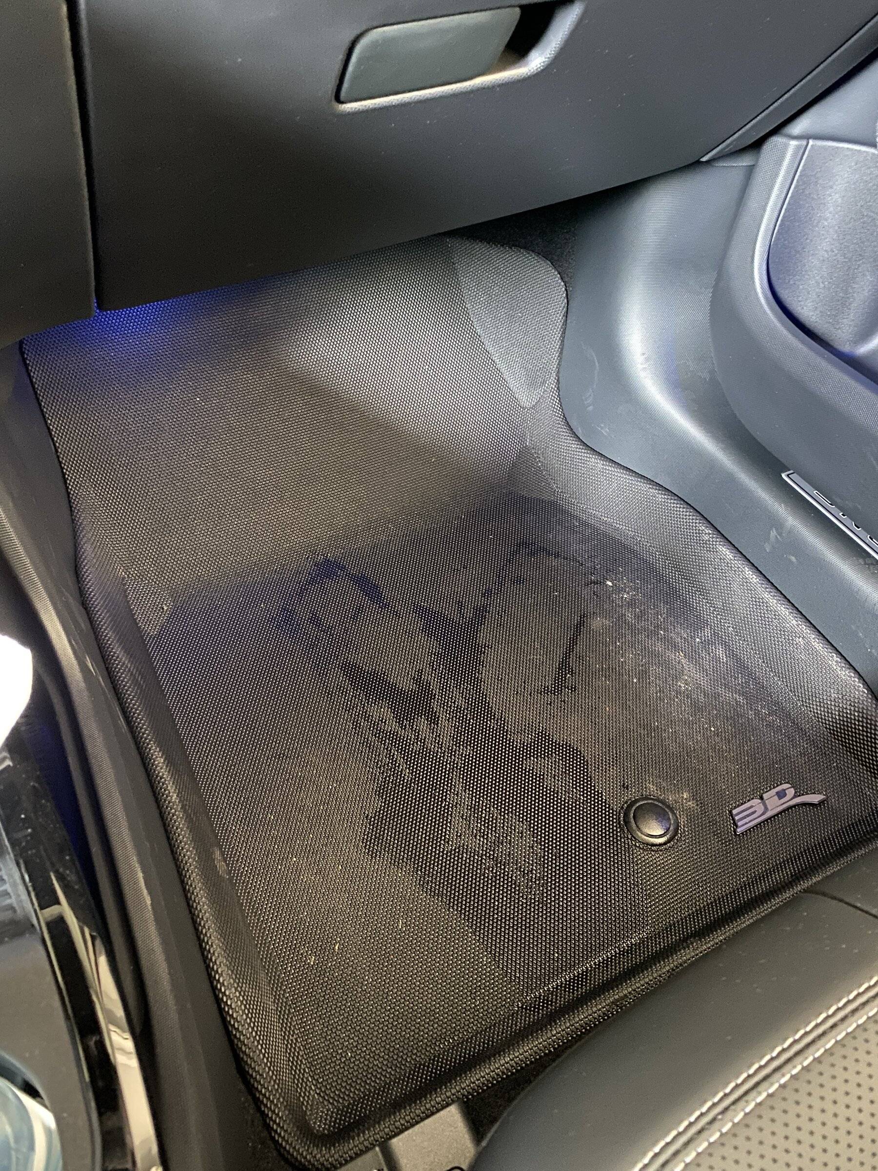 Ford Mustang Mach-E Would 3D MAXpider Kagu mats for 2021 fit 2022? IMG_0159.JPG