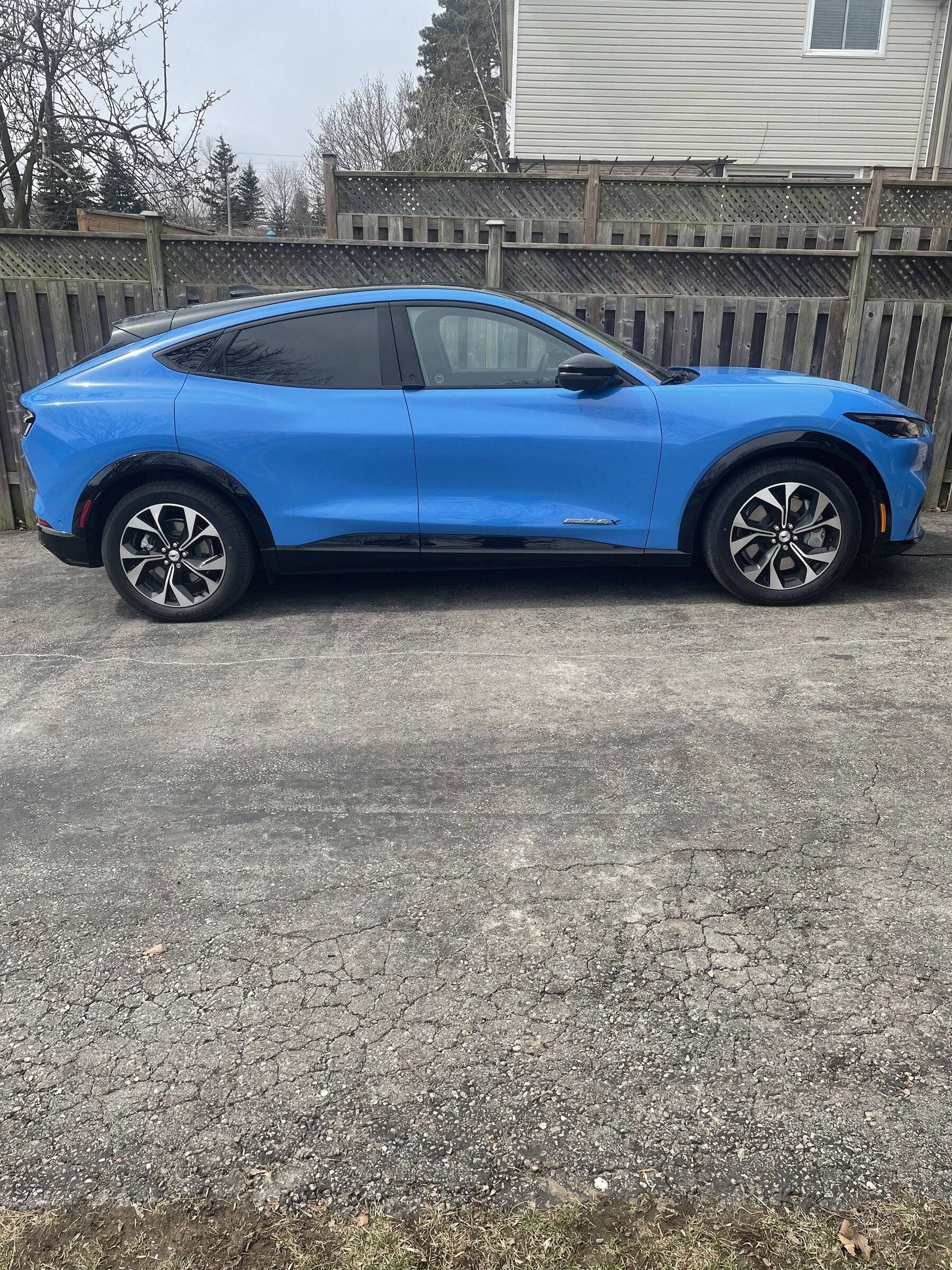 Ford Mustang Mach-E GRABBER BLUE Mach-E Photos 9E6E3EDF-8AD3-4CA0-A2B8-6F07047E20DE