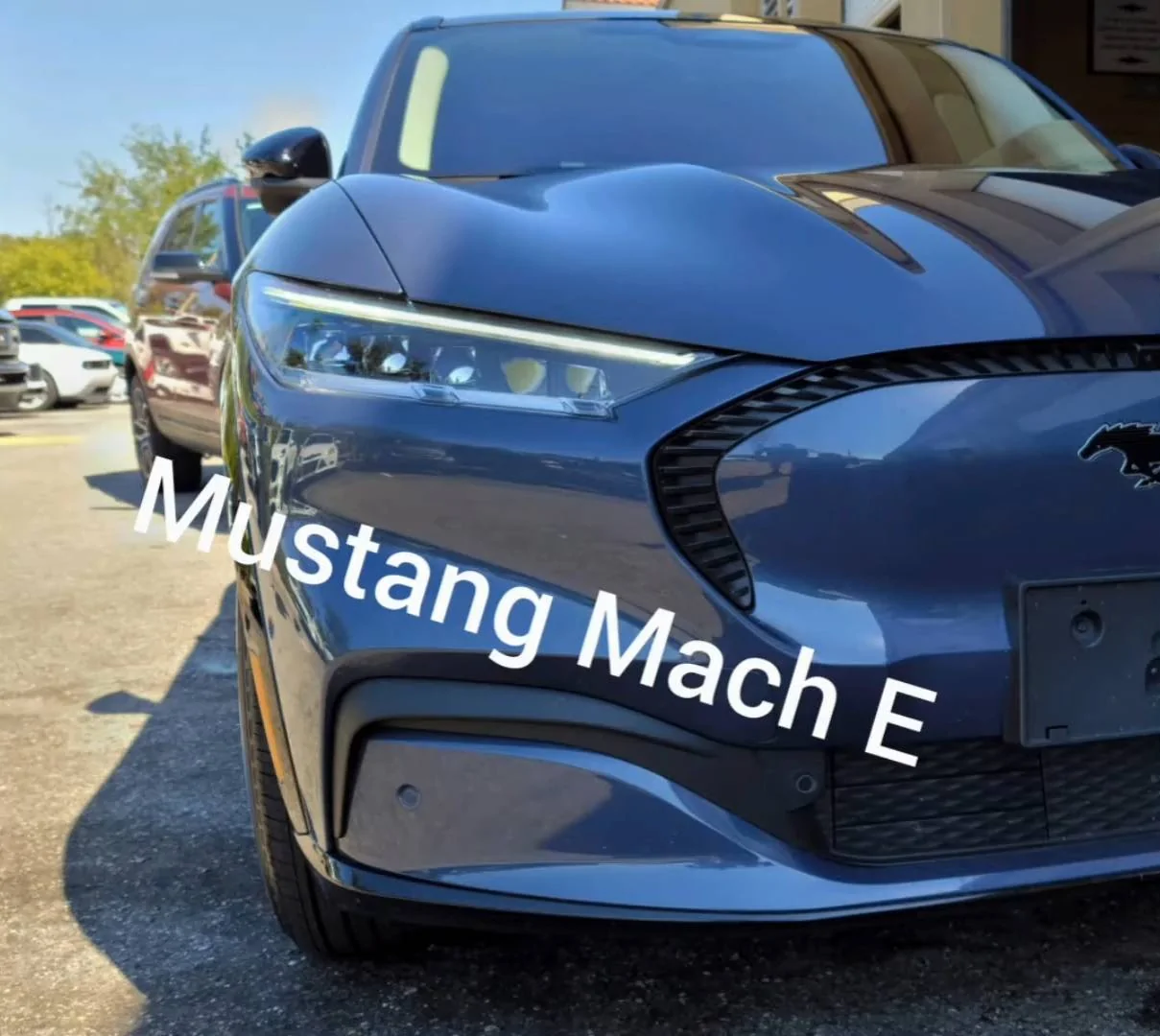 Ford Mustang Mach-E INFINITE BLUE METALLIC Mach-E Photos i