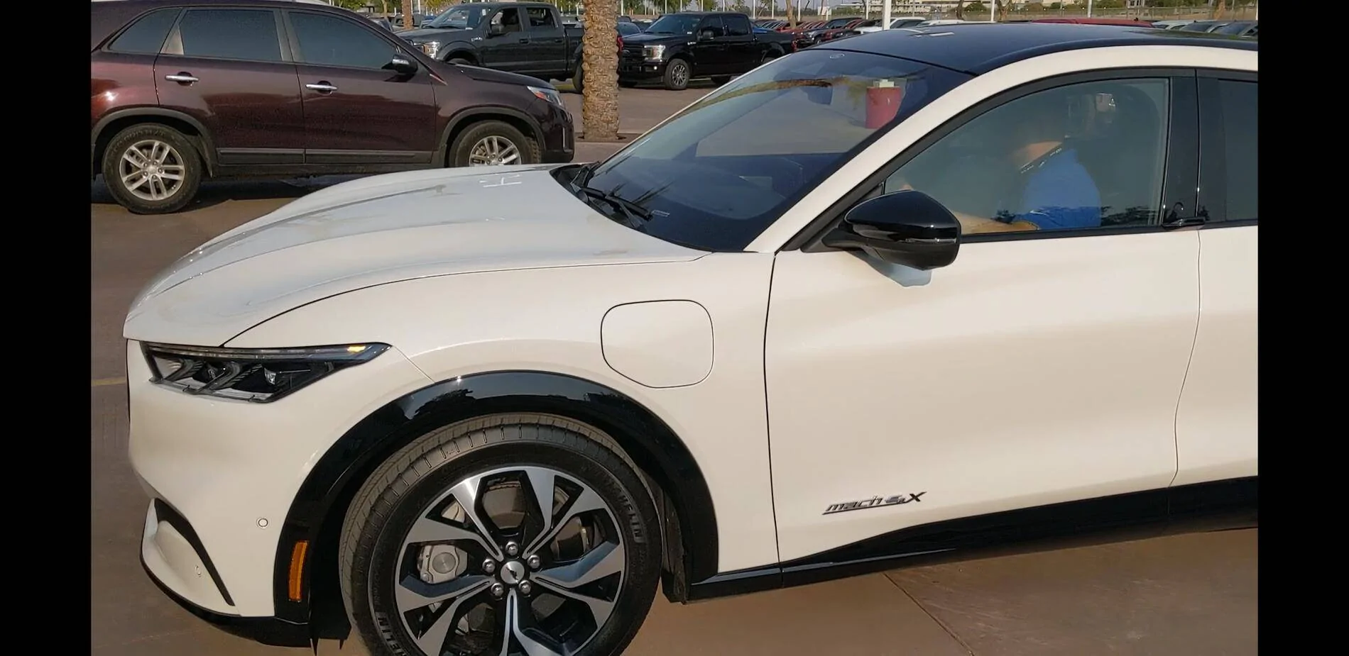 Ford Mustang Mach-E Mach-E 4x (Star White / Gray Interior) sighted at Phoenix dealership, with a look at range figures Screenshot_20201017-171720