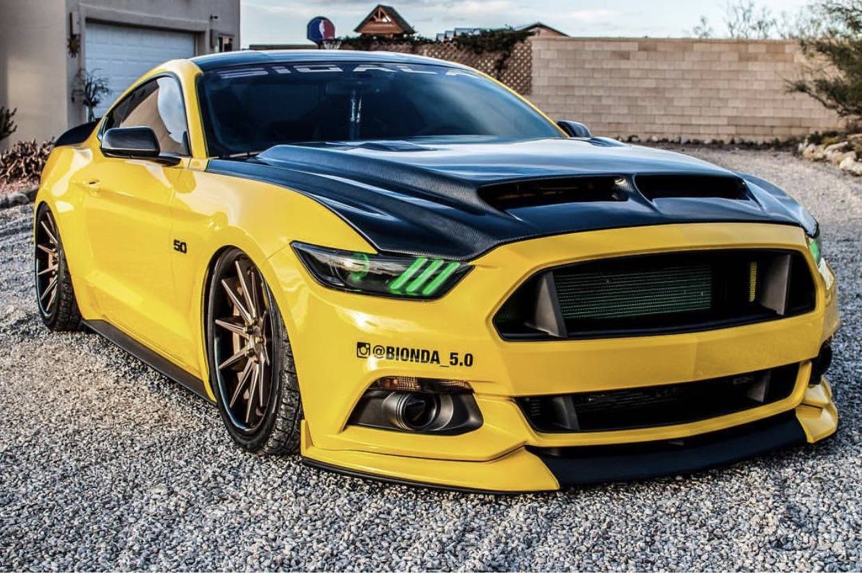 Ford Mustang Mach-E Cyber Orange w/ PPF & Hatch Wrapped Gloss Black A5DF7889-3494-4781-AD65-C500C34DDA81