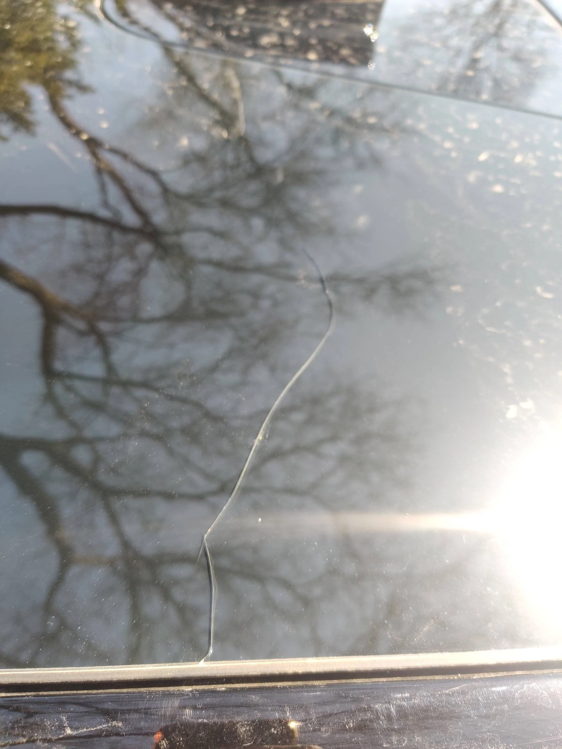 Ford Mustang Mach-E Panoramic Roof Crack IMG_20220411_112257