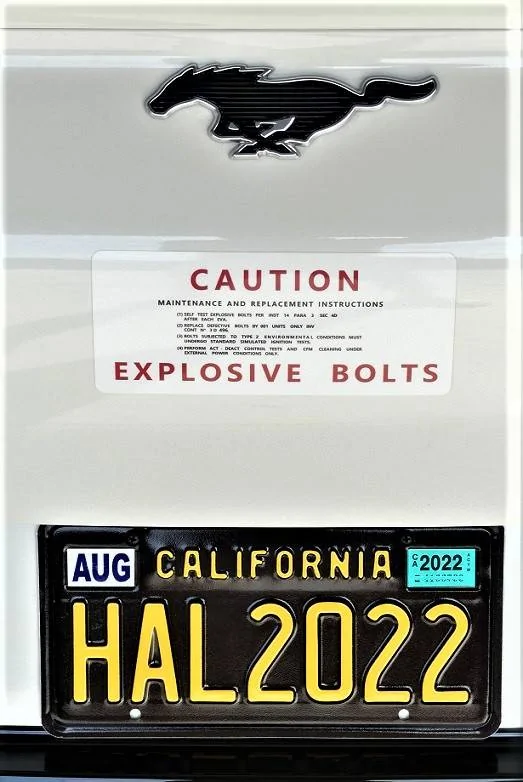Ford Mustang Mach-E Post up your custom plates! 1649721721062