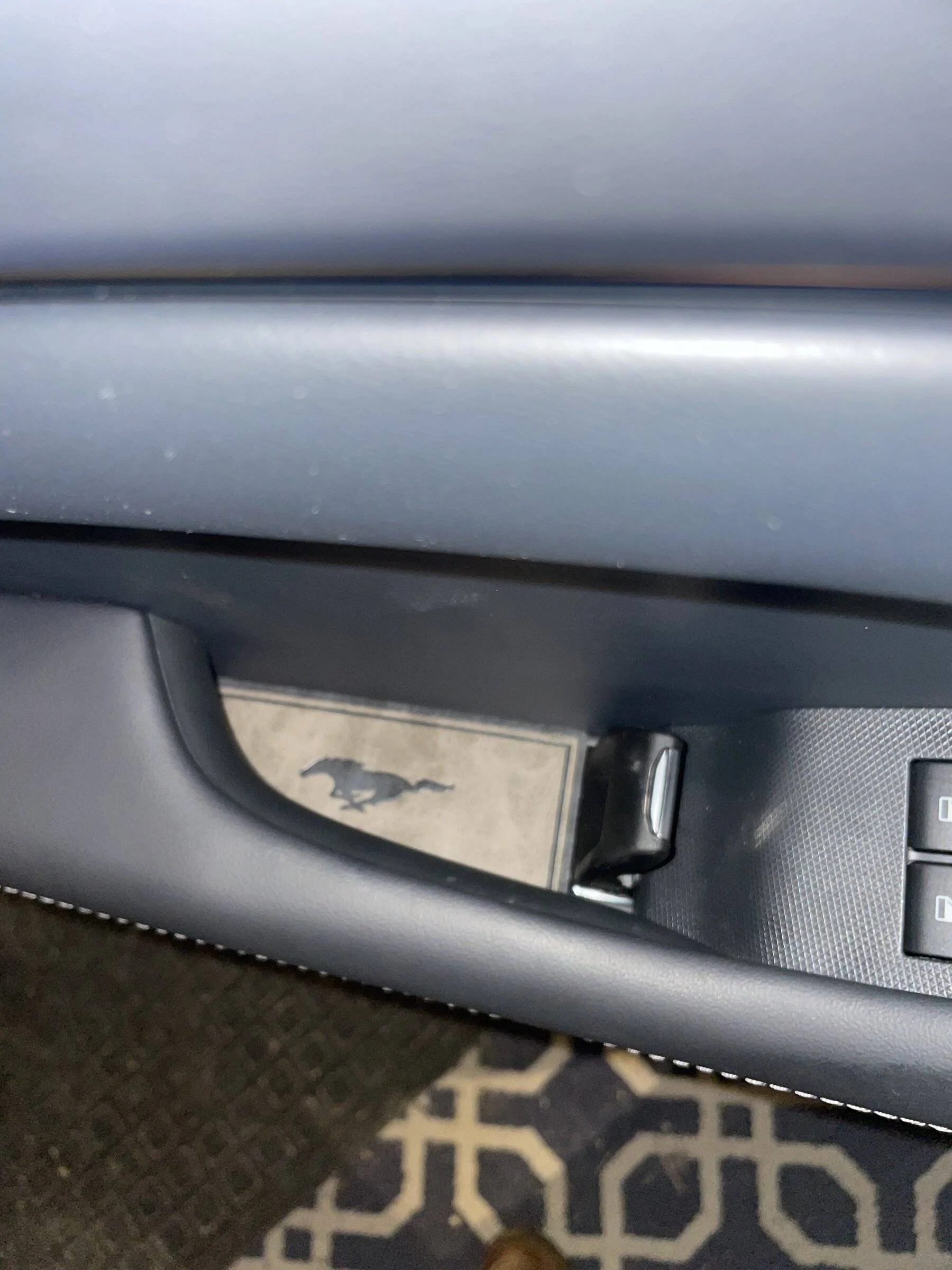 Ford Mustang Mach-E AOSK interior etc. BFCB95AC-6D54-4B35-B7D0-9FE2CBE32FE6
